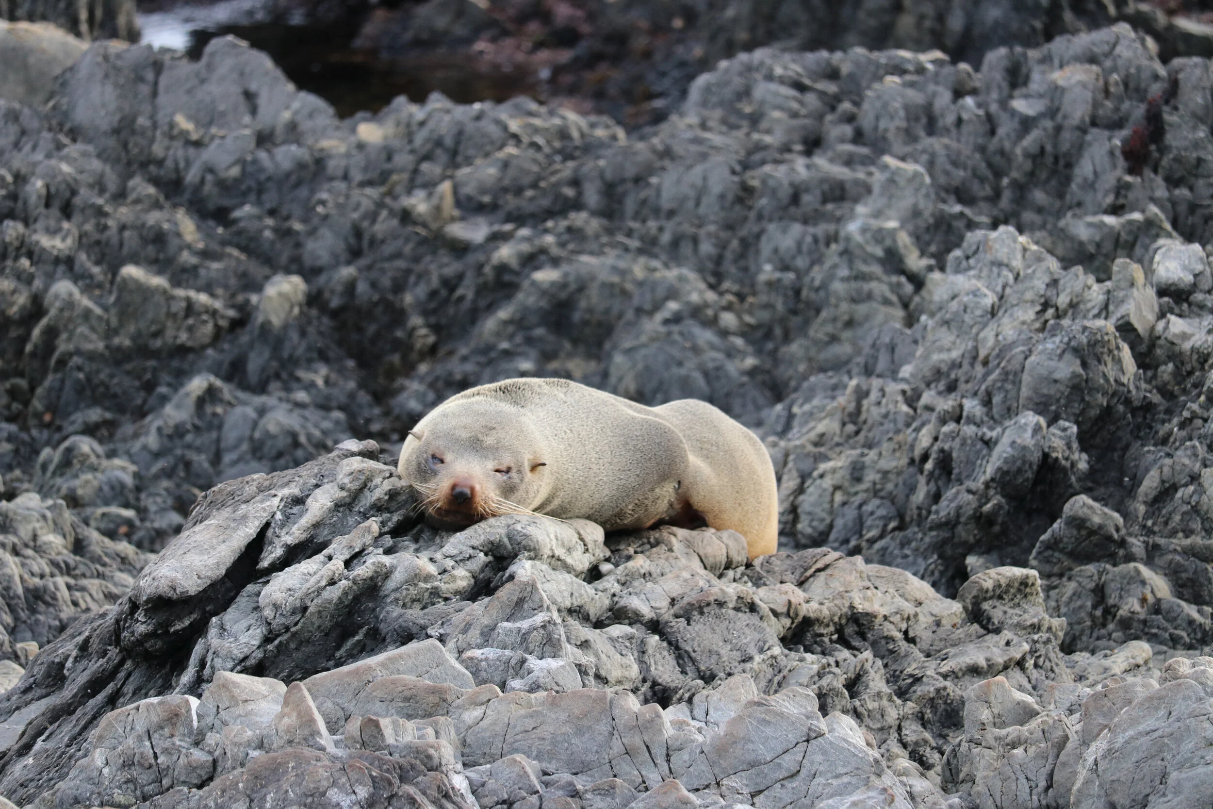 Lanscape - Australia