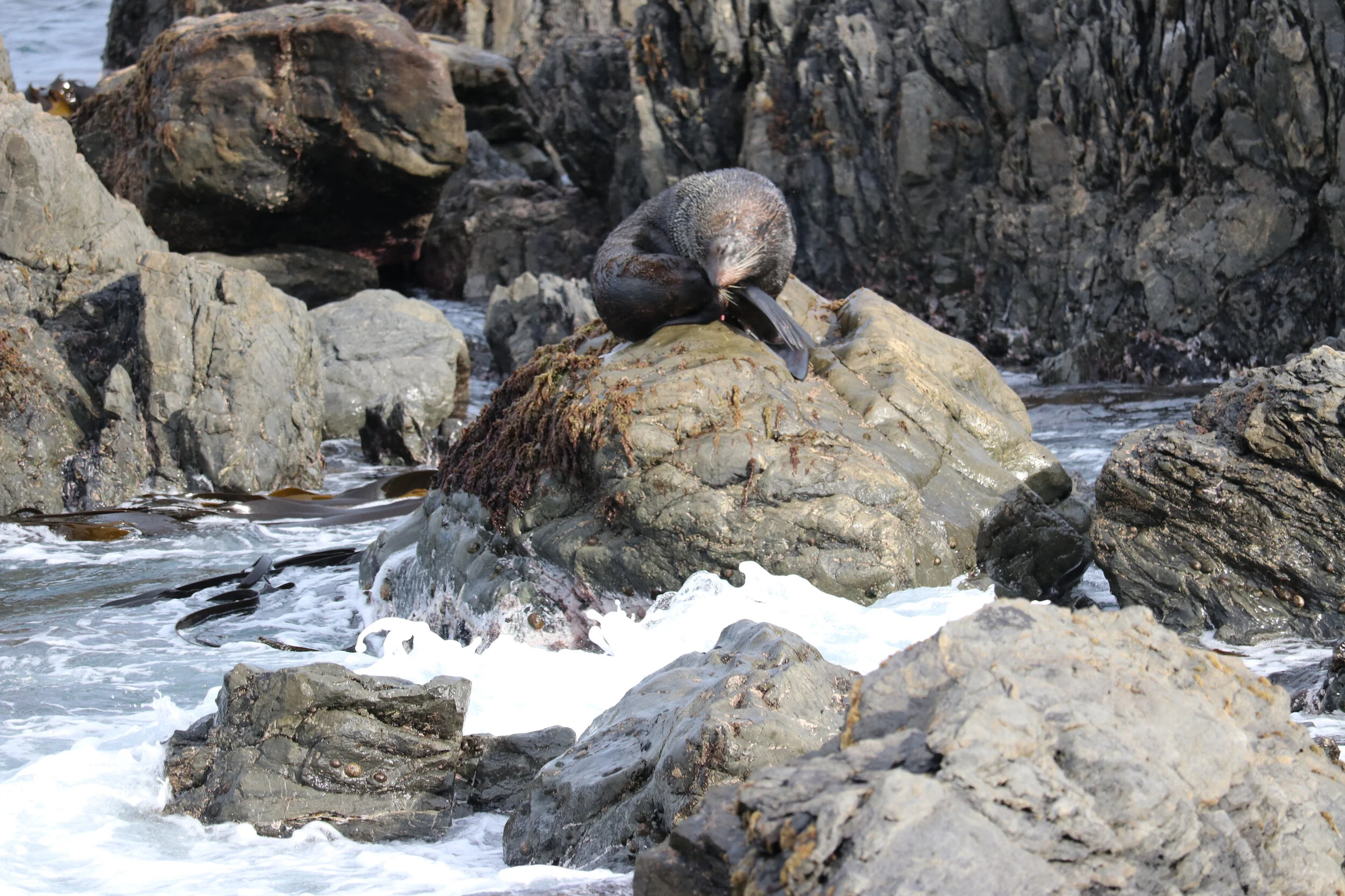 Lanscape - New Zealand