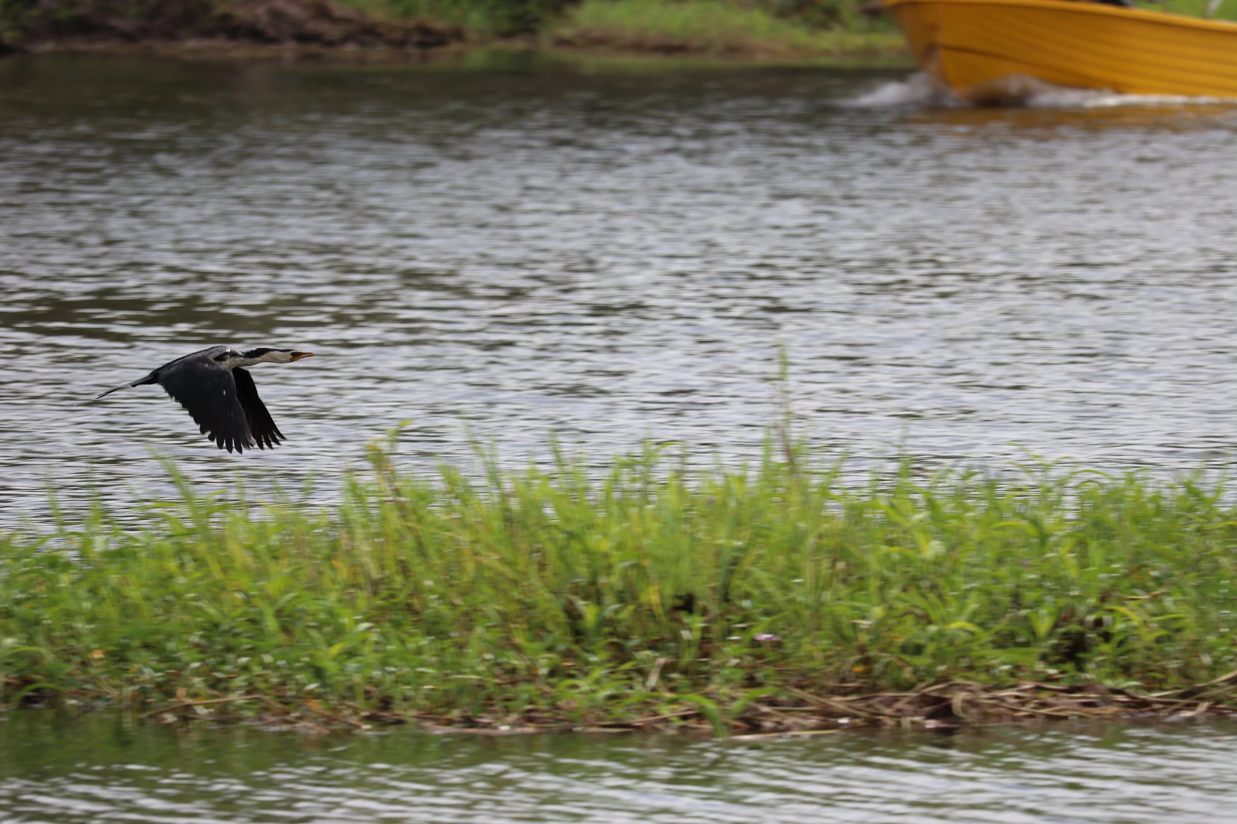 Lanscape - Australia