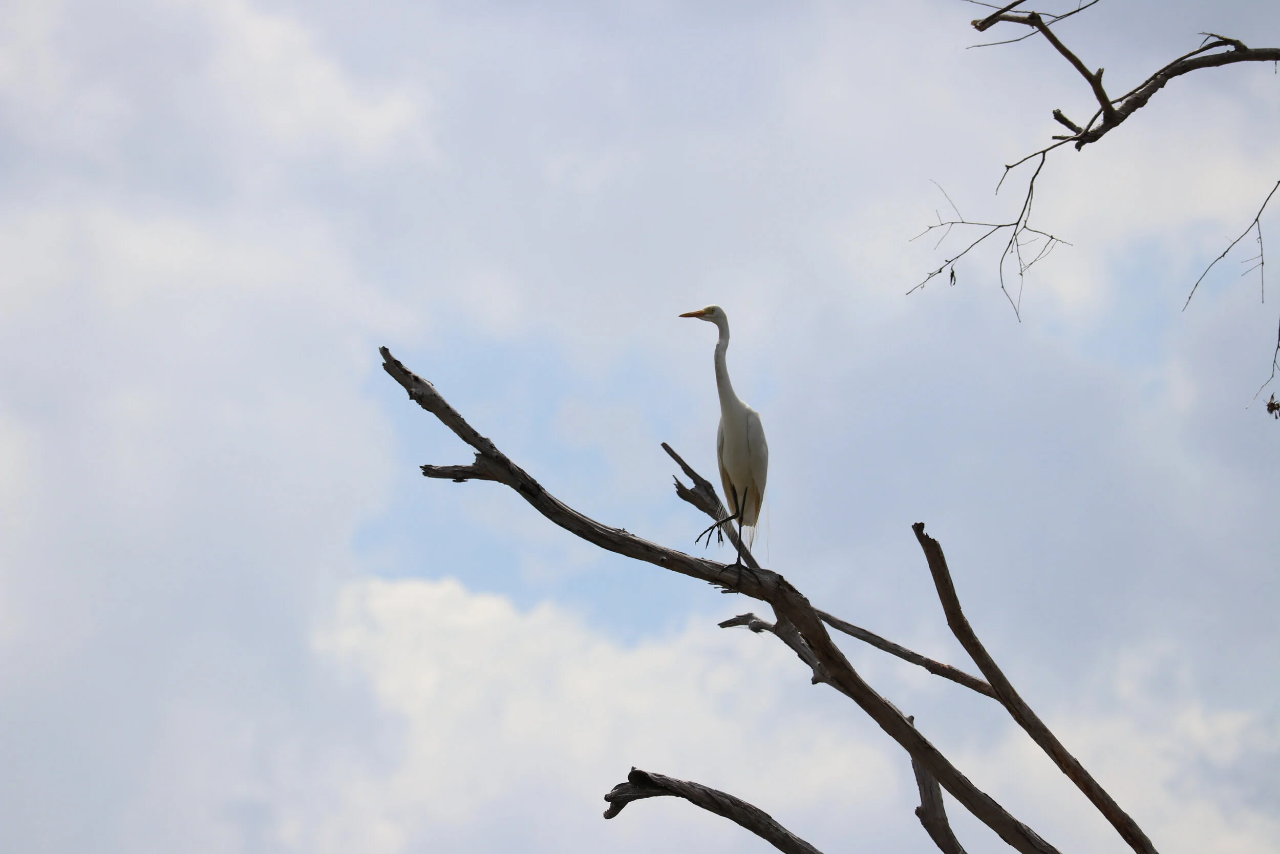 Lanscape - Australia