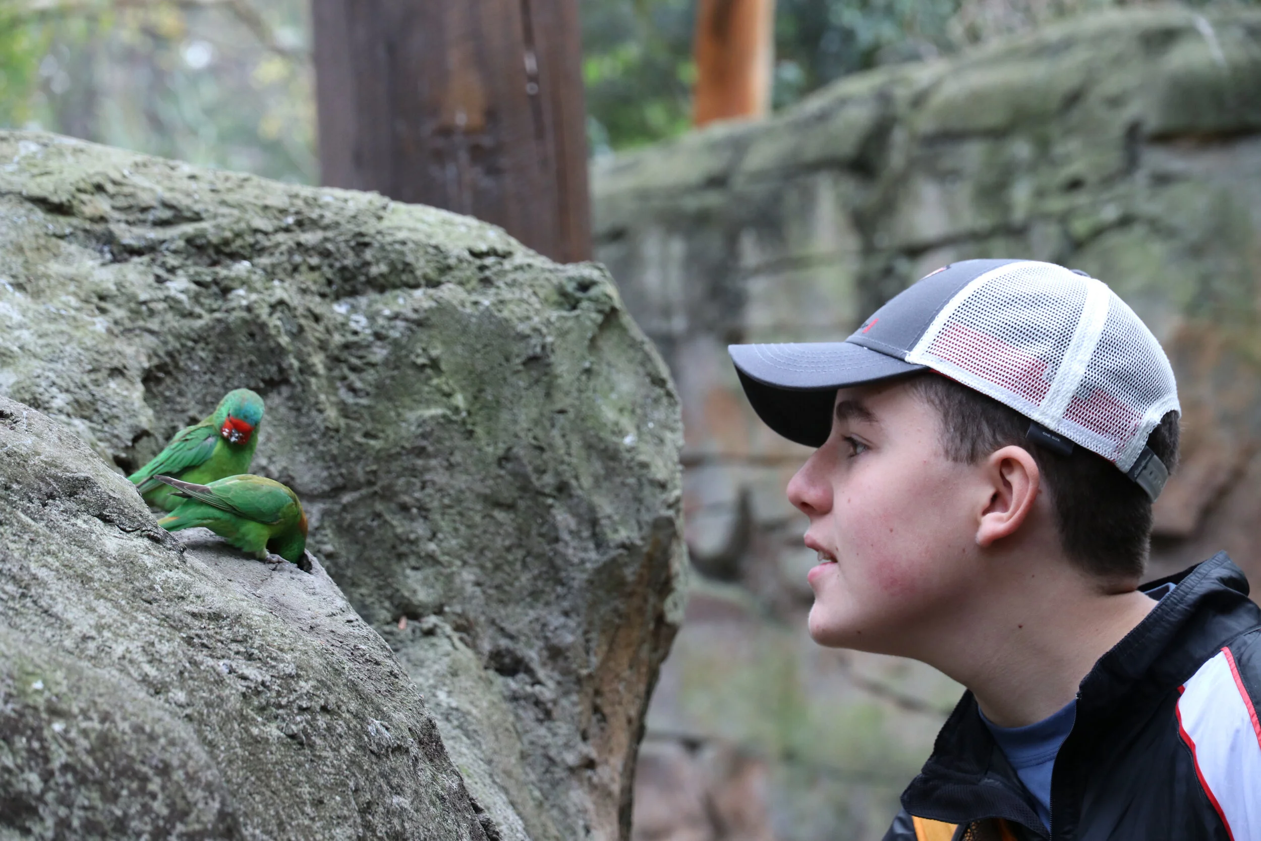 Lanscape - Australia