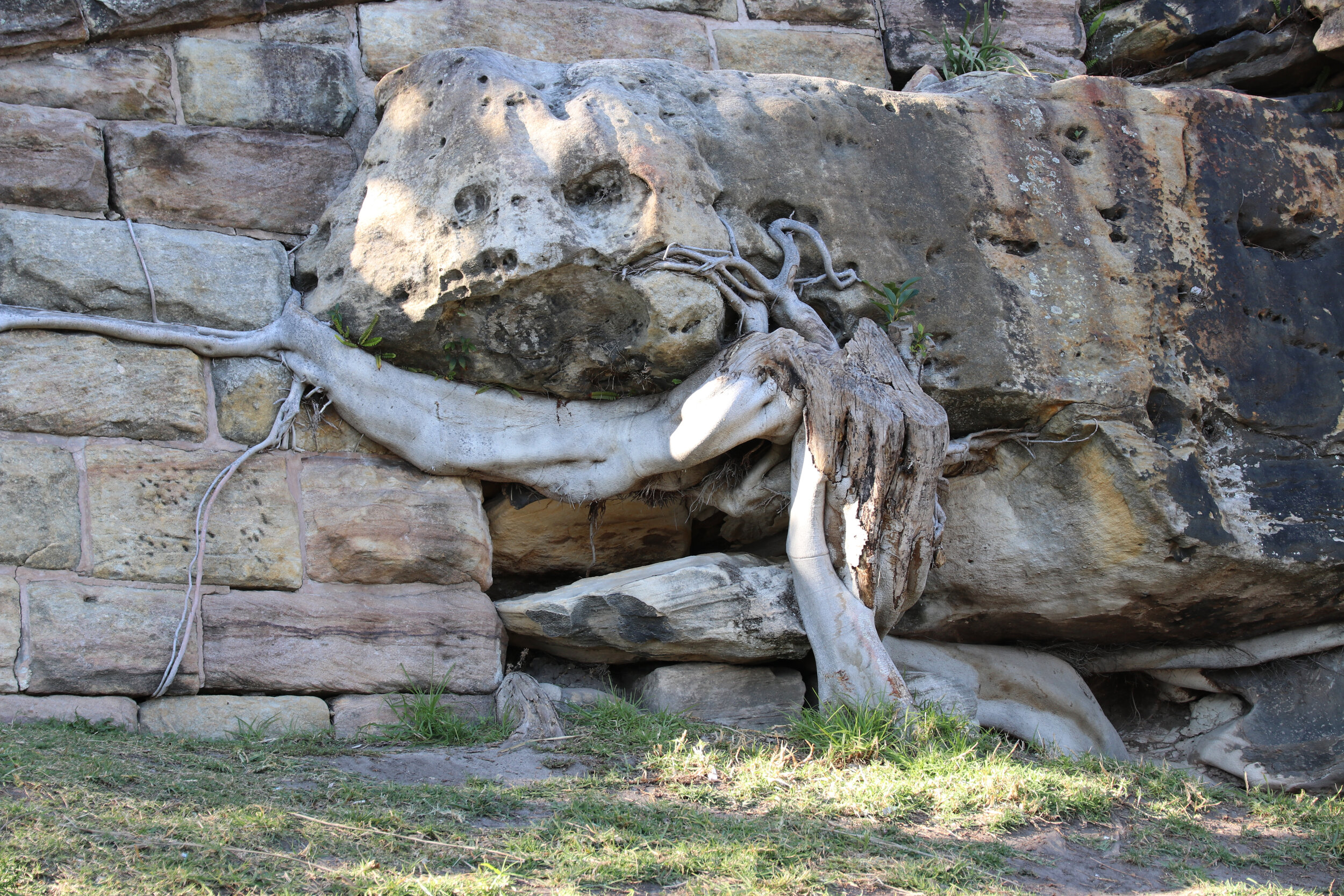 Lanscape - Australia