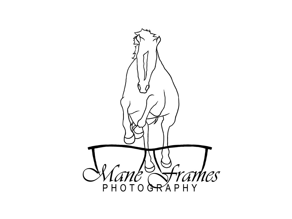 SS Web Logo-MF Photography.jpg