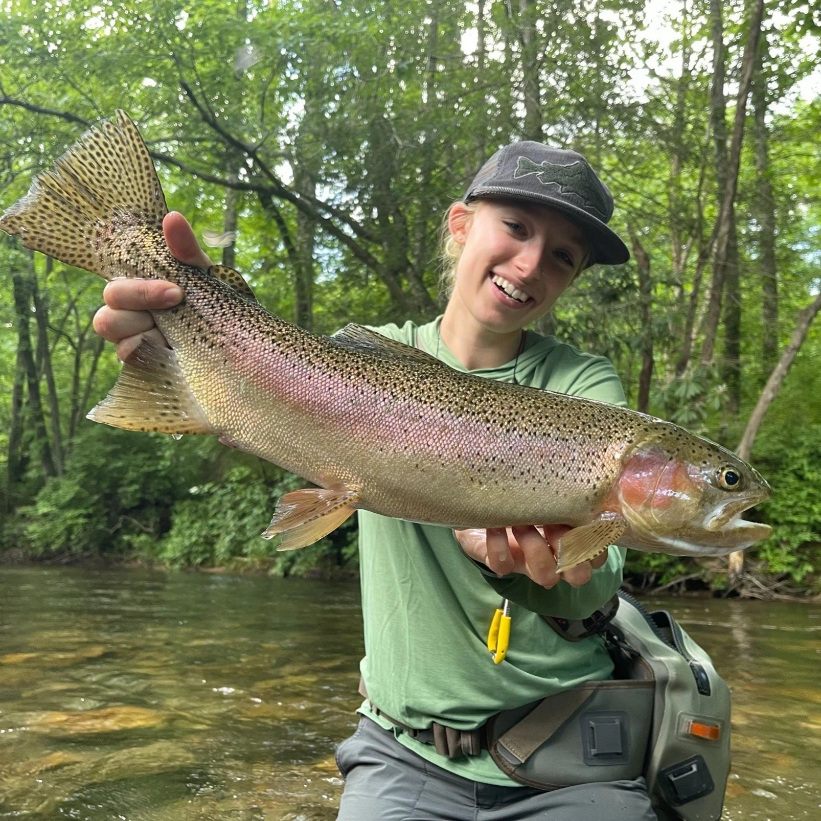 Greenville Fly Fishing Guides for Greenville, Brevard, Rosman, Cashiers, Highlands, Johnson City