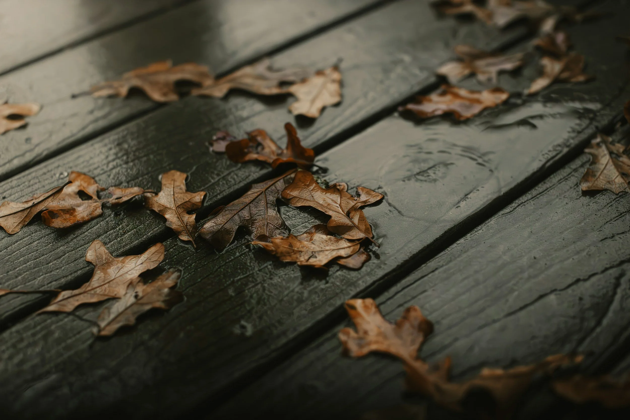 You Can Trust God's Word Part Two