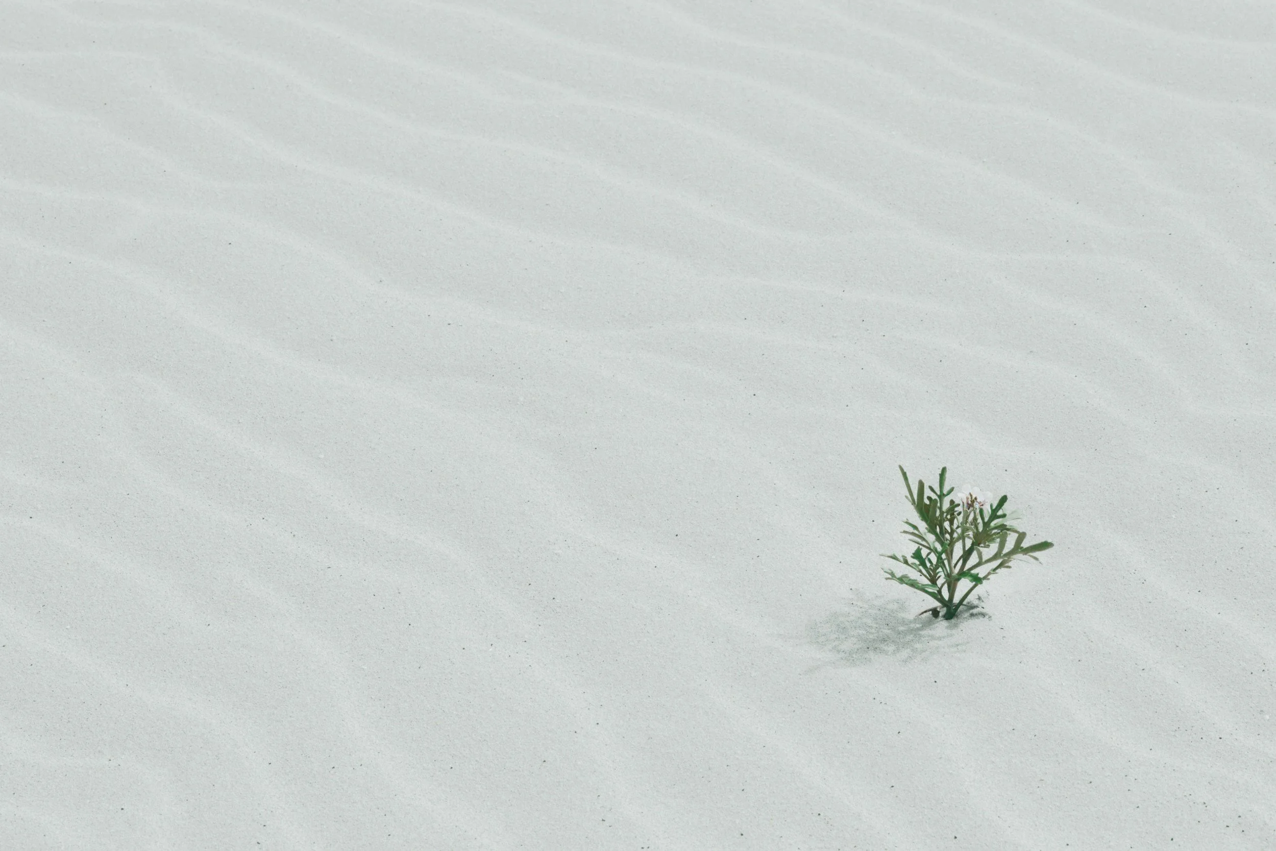 Repentance that Leads to Life