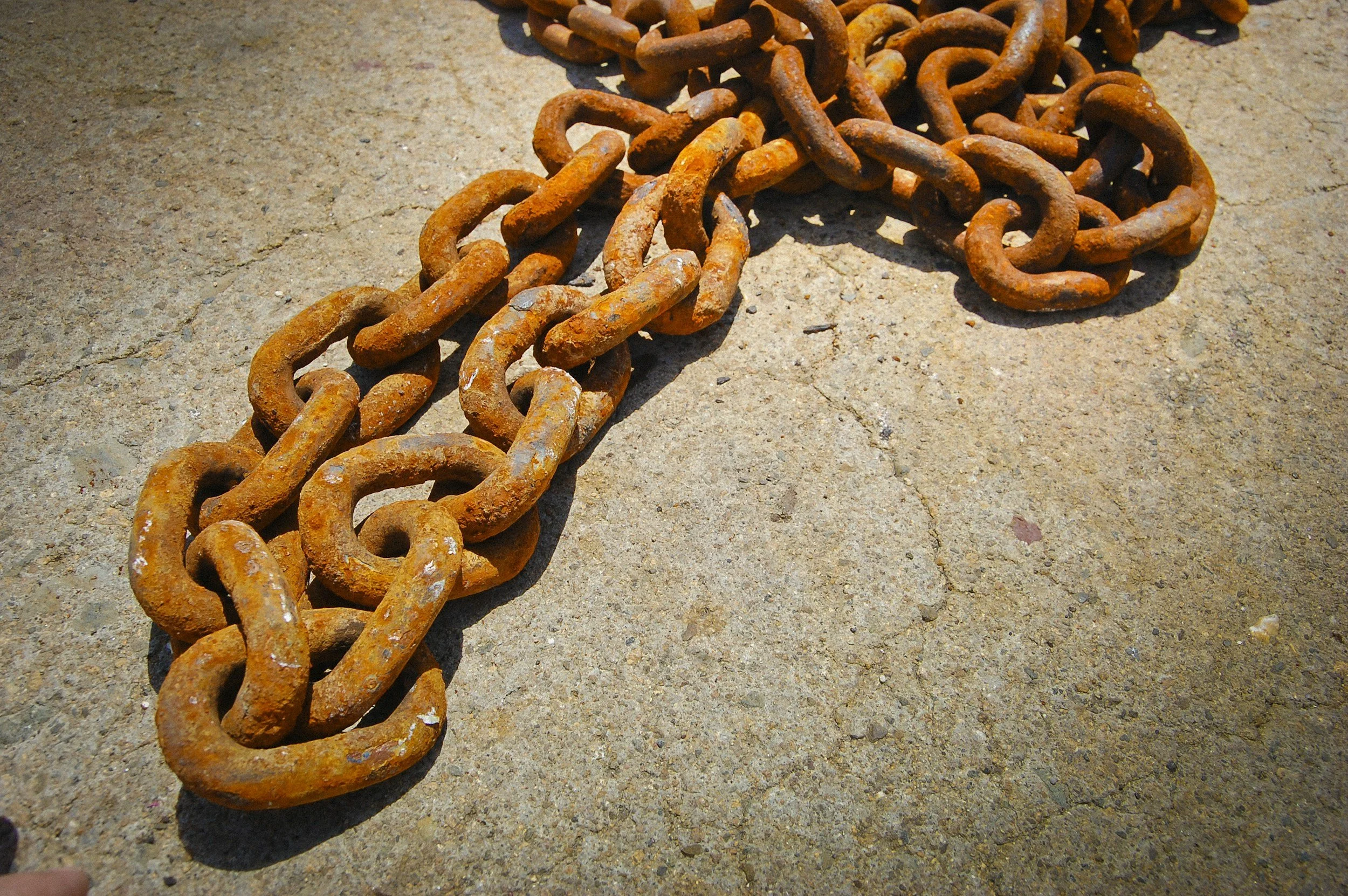 Responding to Persecution