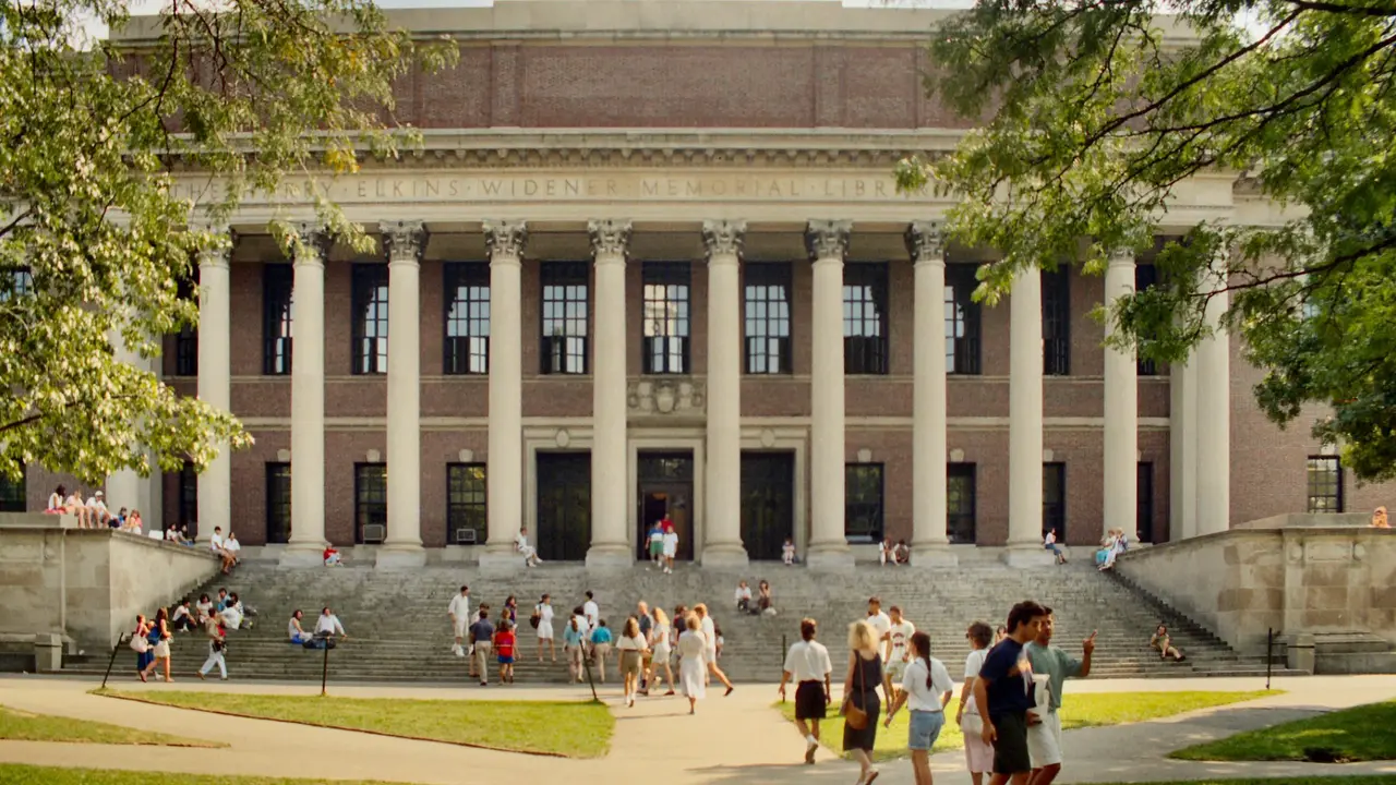 Those Newly Brave Universities