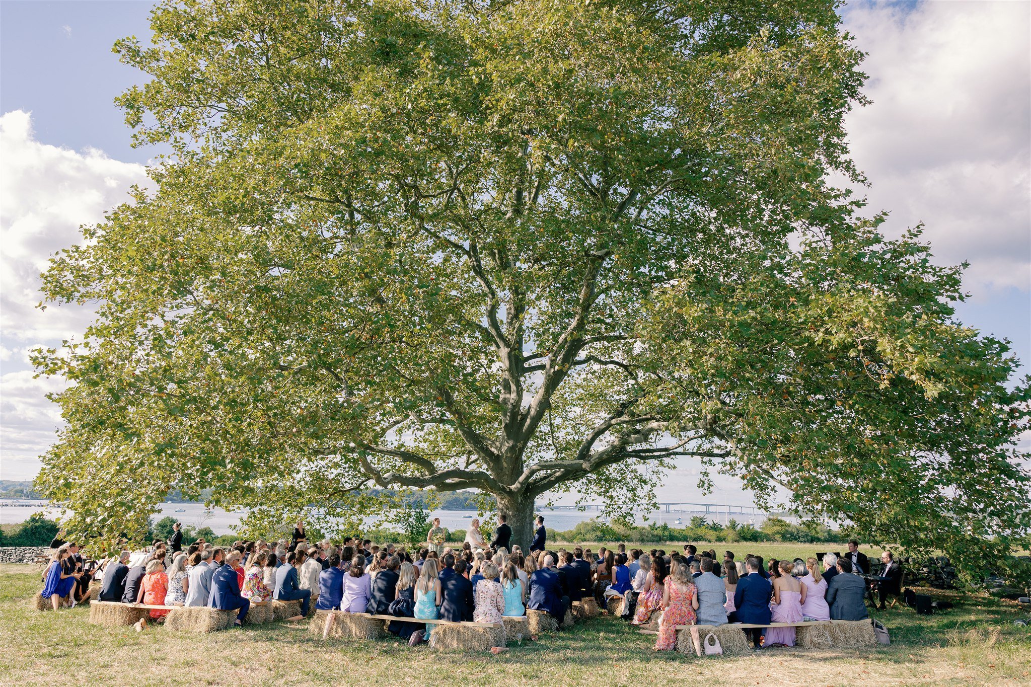 Emily & Matthew 7.jpeg