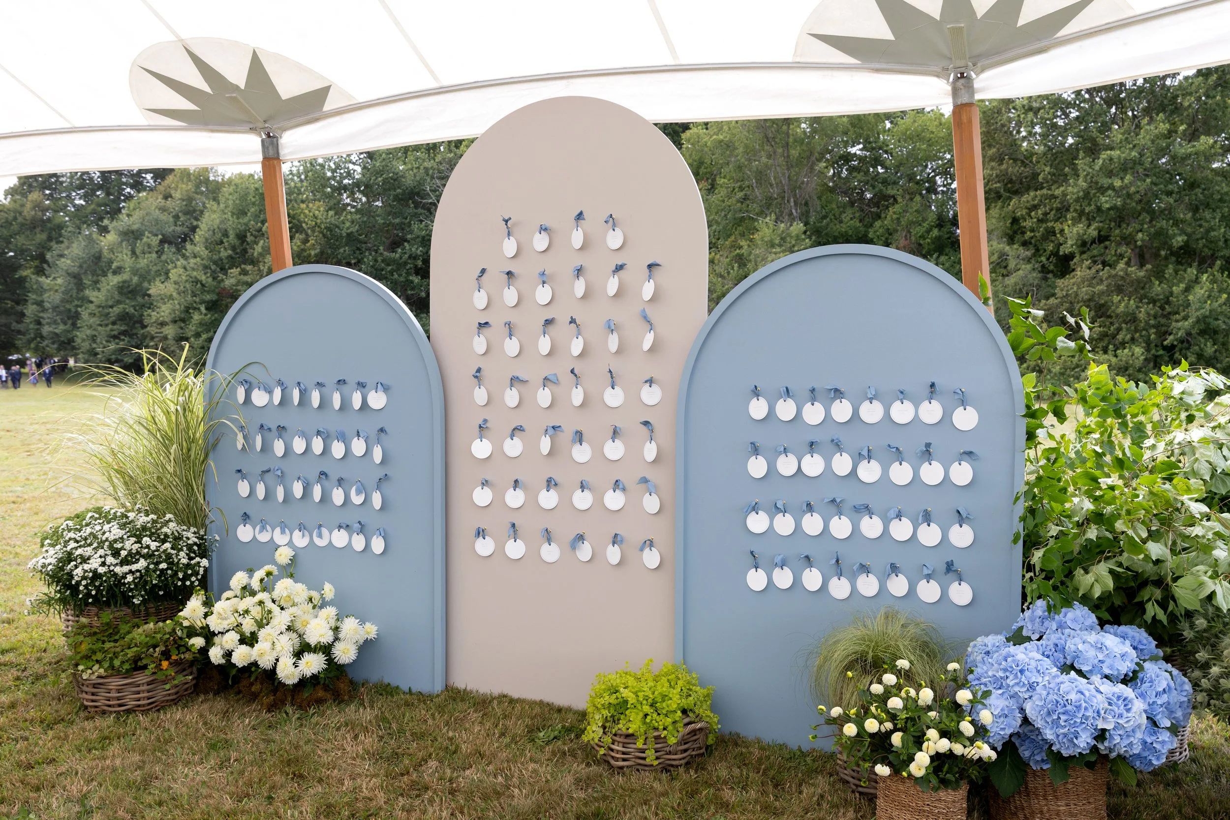 Melanie & David 5.jpeg