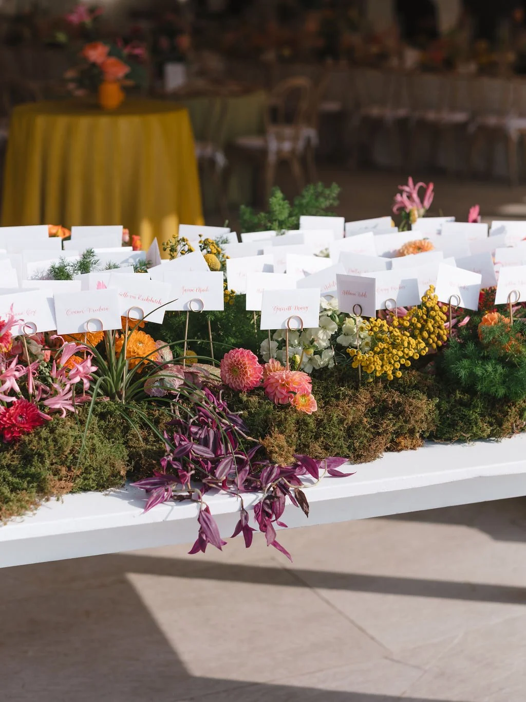 Lexi & Dallas 6.jpeg