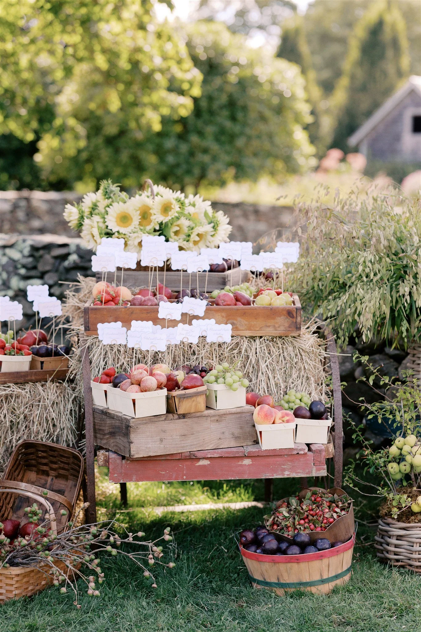 Emily & Matthew 10.jpeg