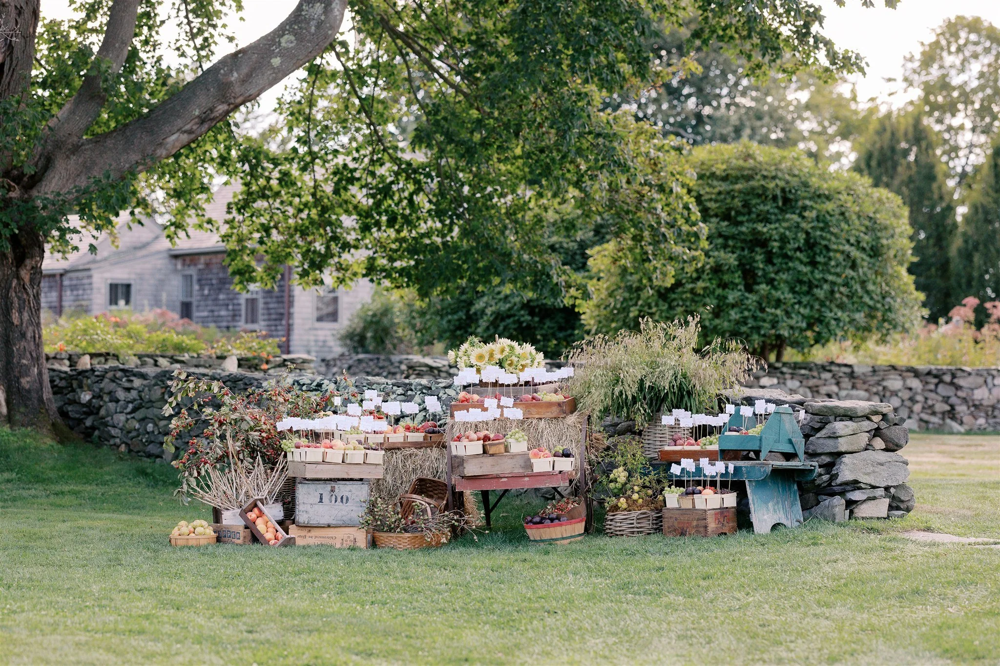 Emily & Matthew 11.jpeg