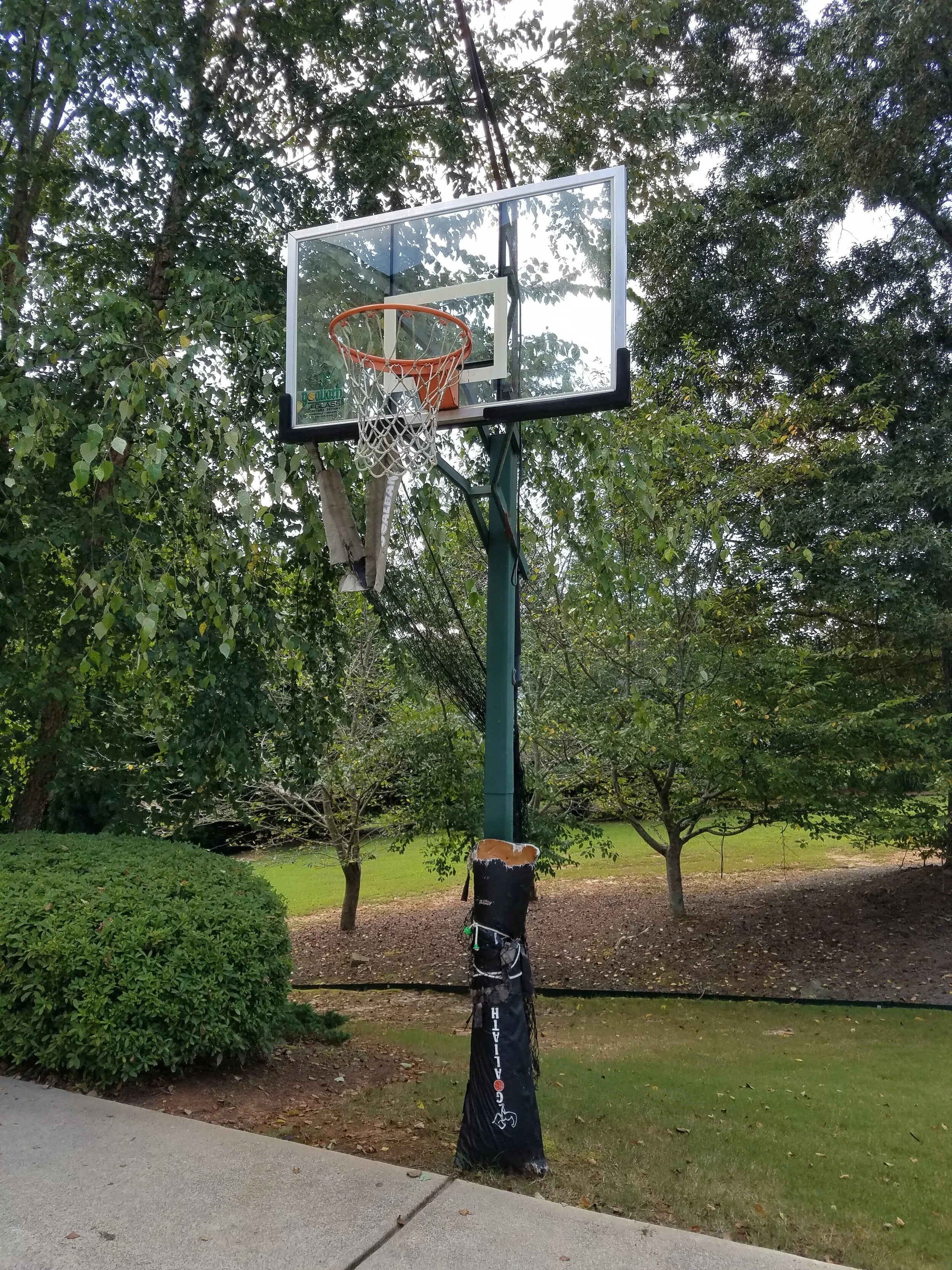 21: A Basketball Love Story