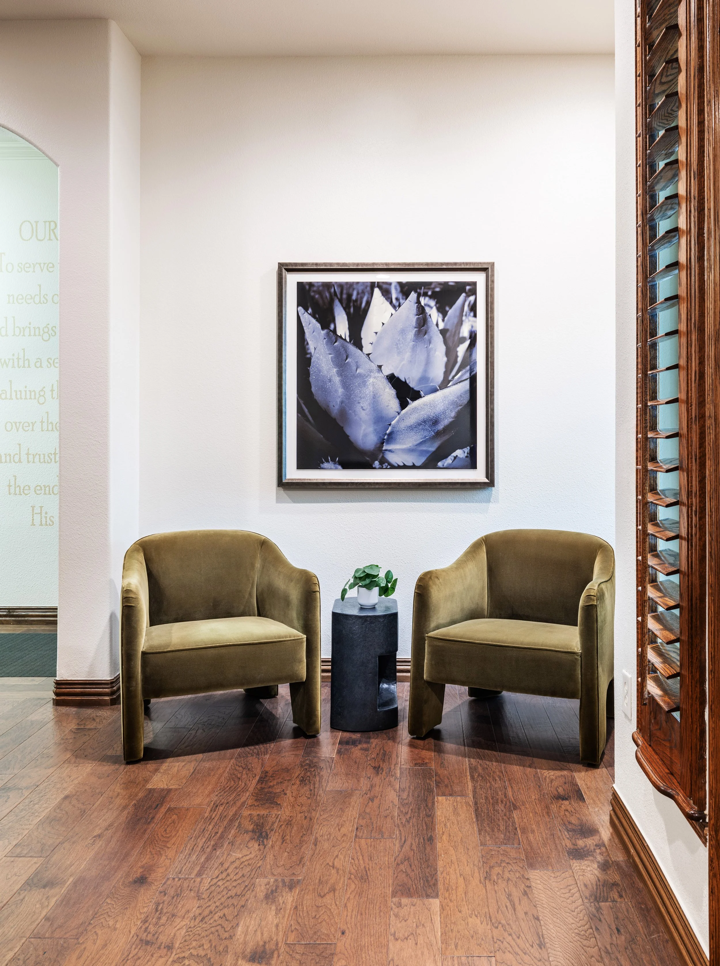 Fort Worth Interior Designer, Interior Design, Fort Worth dental office interior design,
DFW designer, commercial interior designer, fort worth commercial project, commercial
finish selections, custom millwork, upscale commercial interiors, custom fr