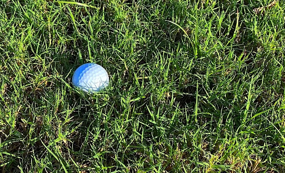 AU men’s golf heads into last day of Southwestern Invitational