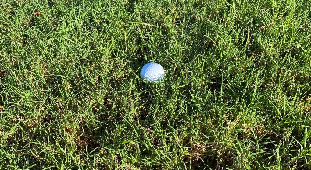 AU women’s golf team playing in Moon Golf Invitational in Florida
