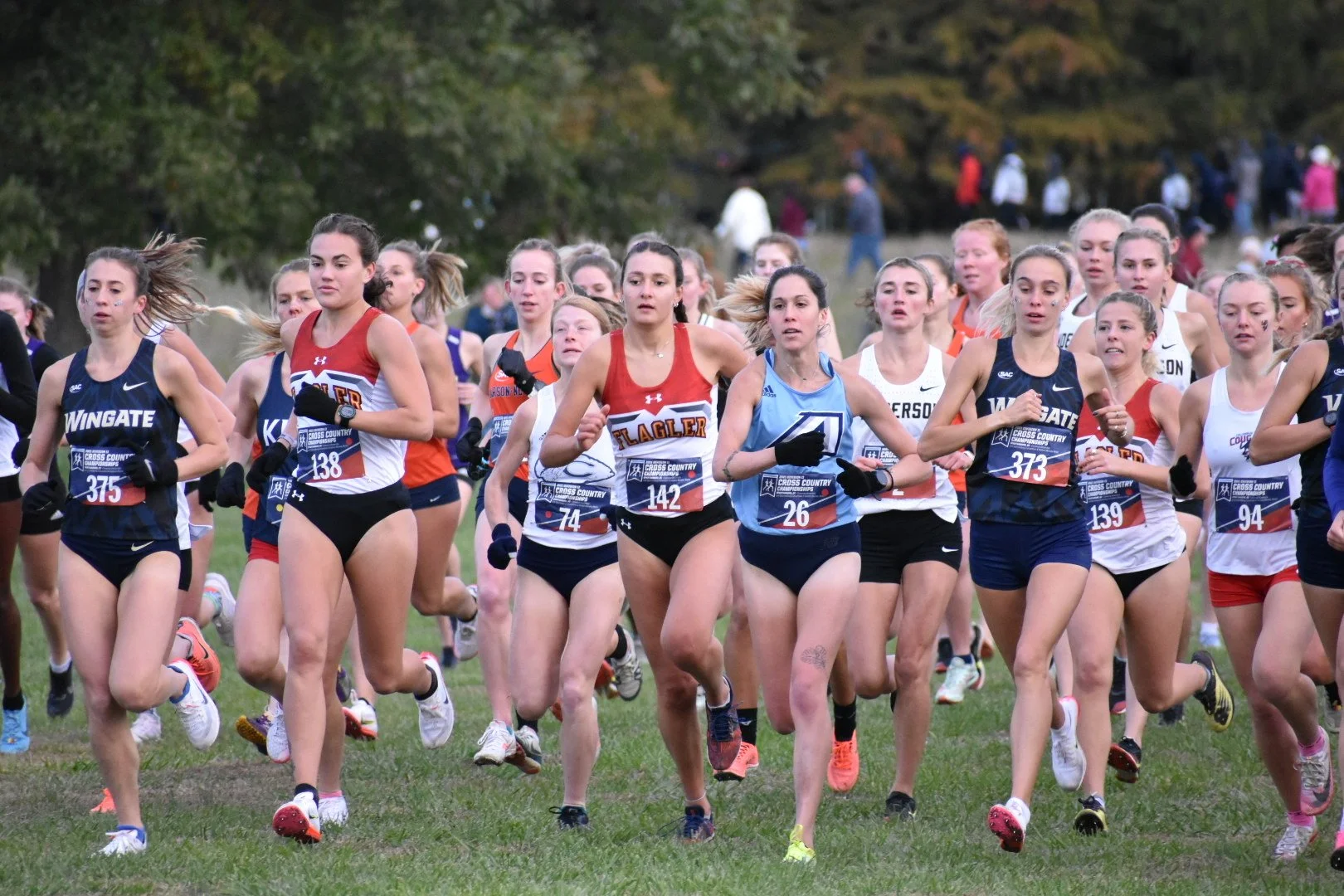 Men's cross-country finishes fourth in regional; Brickey and Taylor qualify for nationals