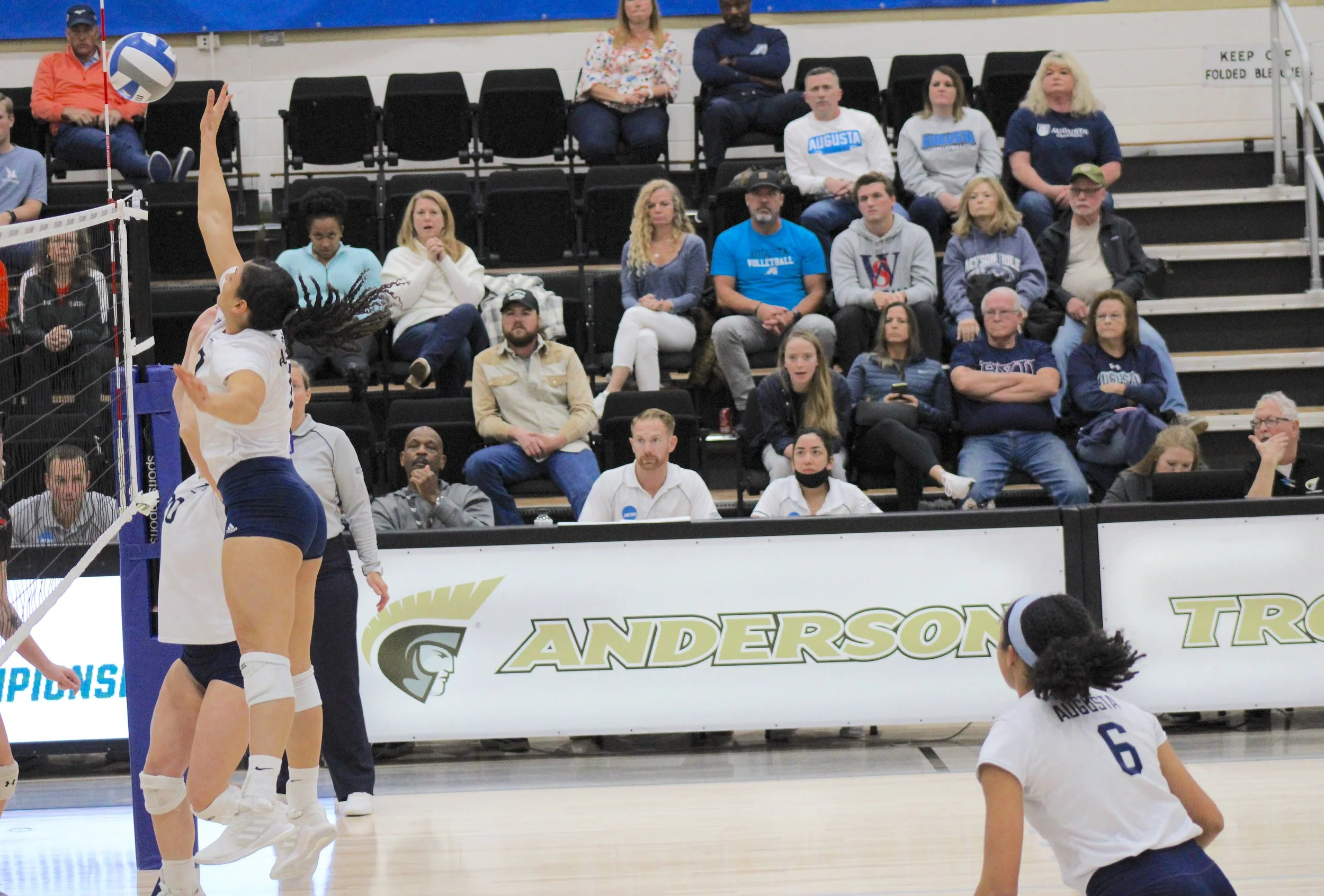 Jaguars’ volleyball team looks to make history, while Tampa seeks fourth national title