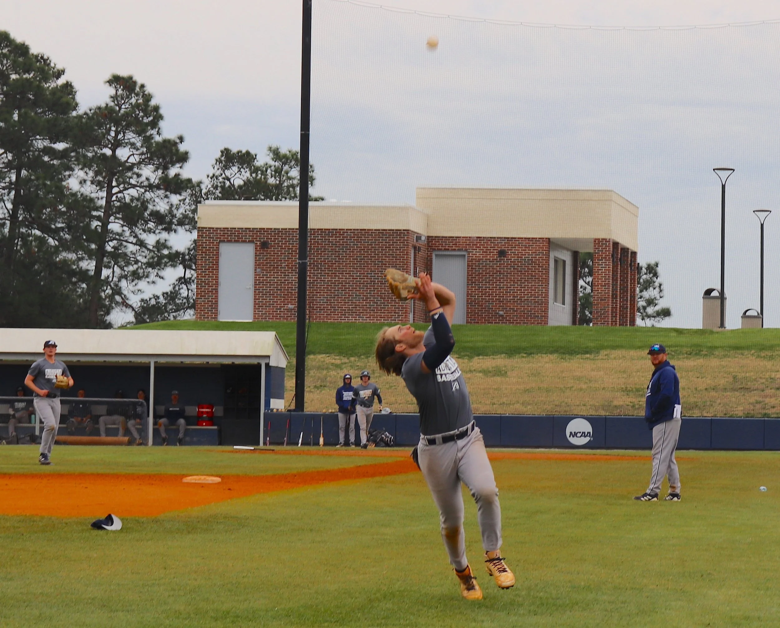 AU baseball team names captains as it prepares for opener against USC Beaufort
