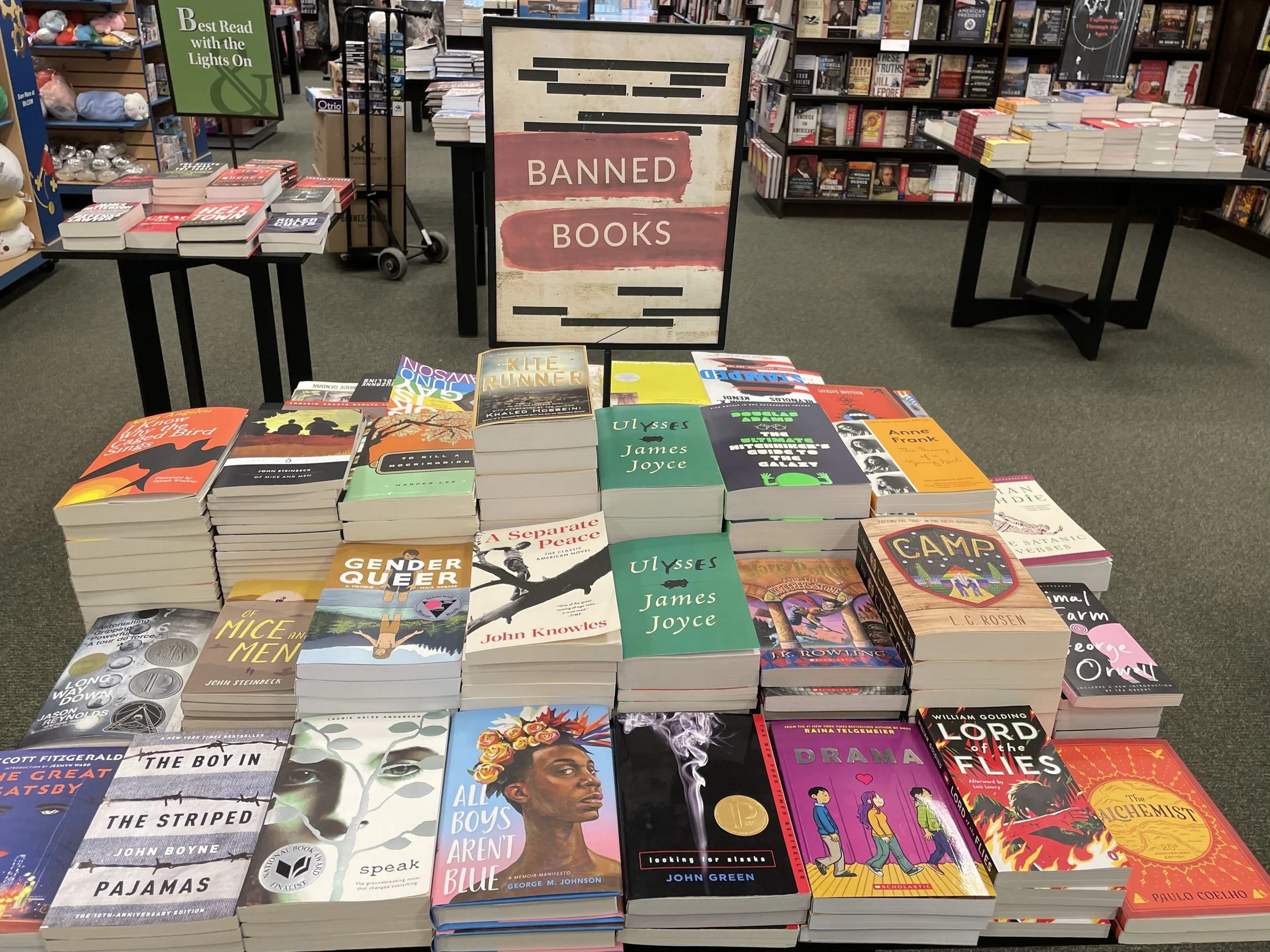 Opinion: Book banning and the First Amendment