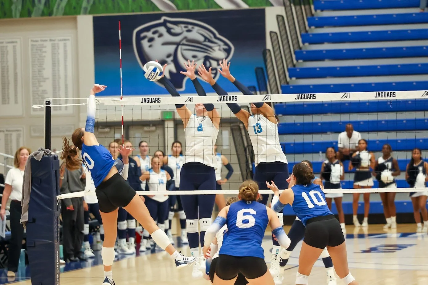 TSS 7/6: Cross-country joins AU volleyball on center stage