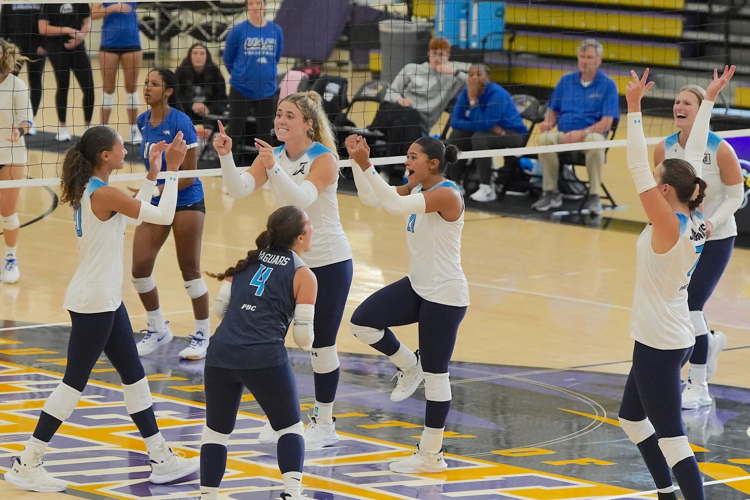 Nationally ranked Jaguar volleyball team stumbles in crossover tournament