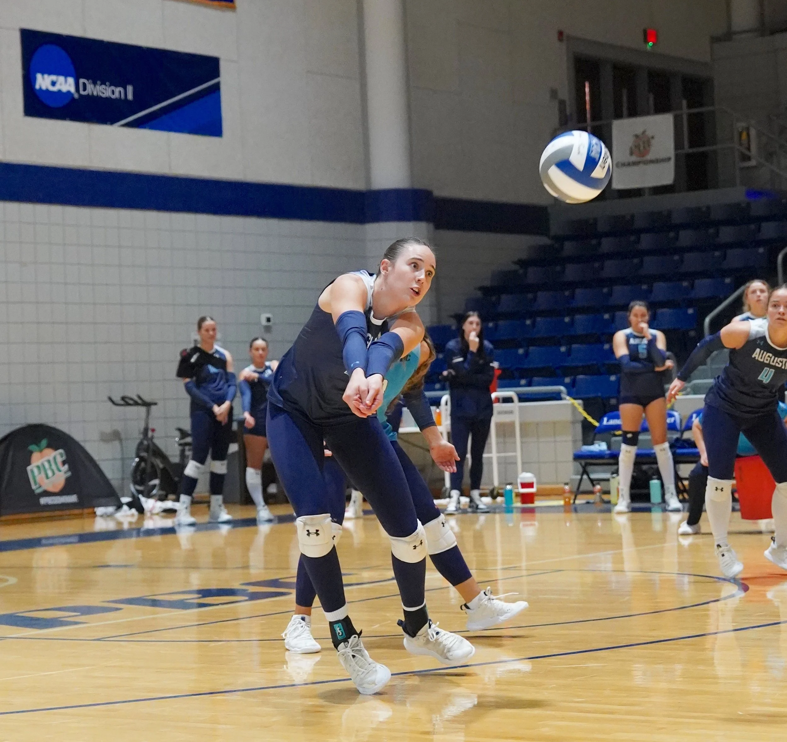 Flagler downs Jaguars in PBC VB final; AU gets 4th seed in regional, to play Lenoir-Rhyne