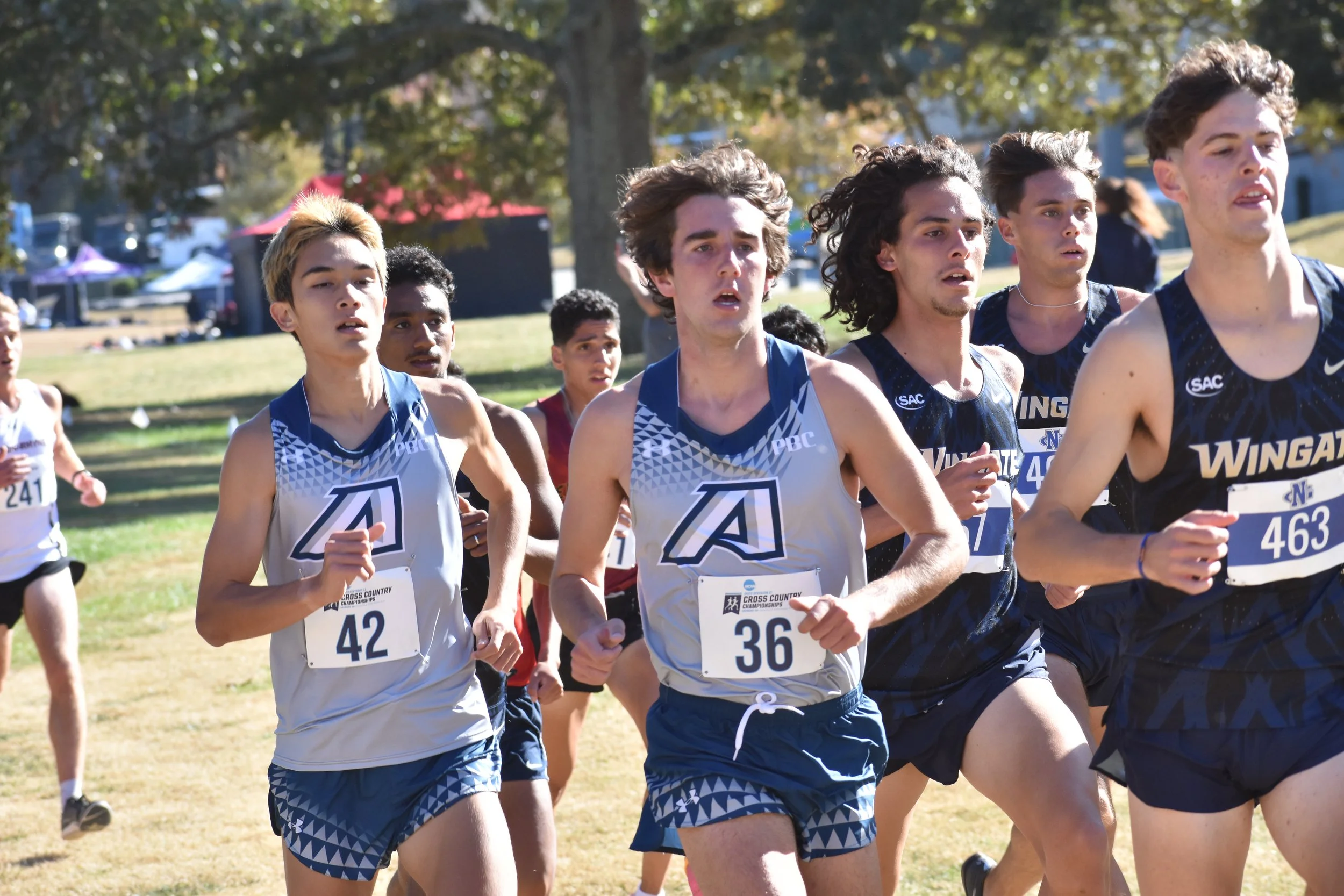 Robertson makes history as AU's first-ever XC all-American