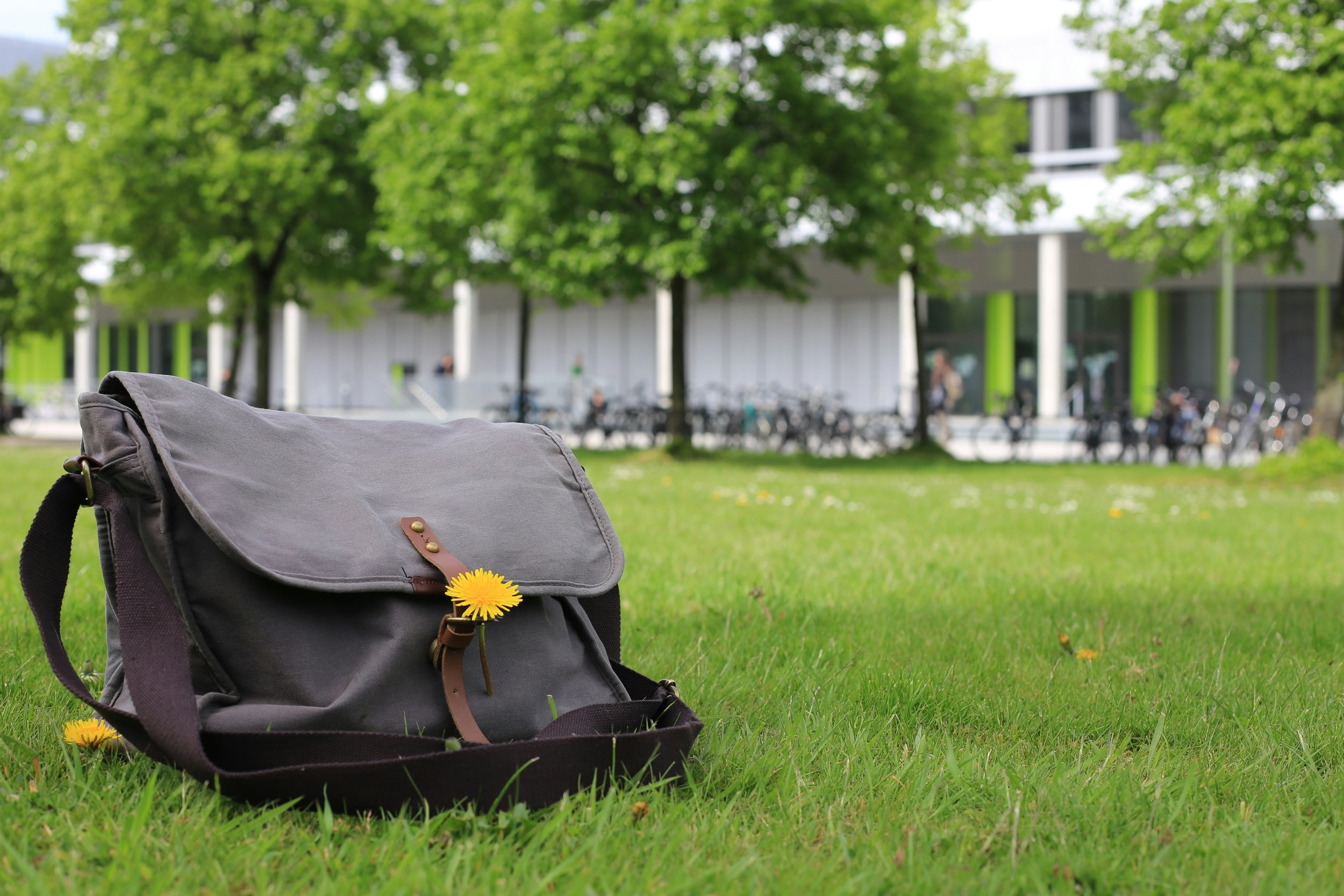 Three things I've learned as a college freshman
