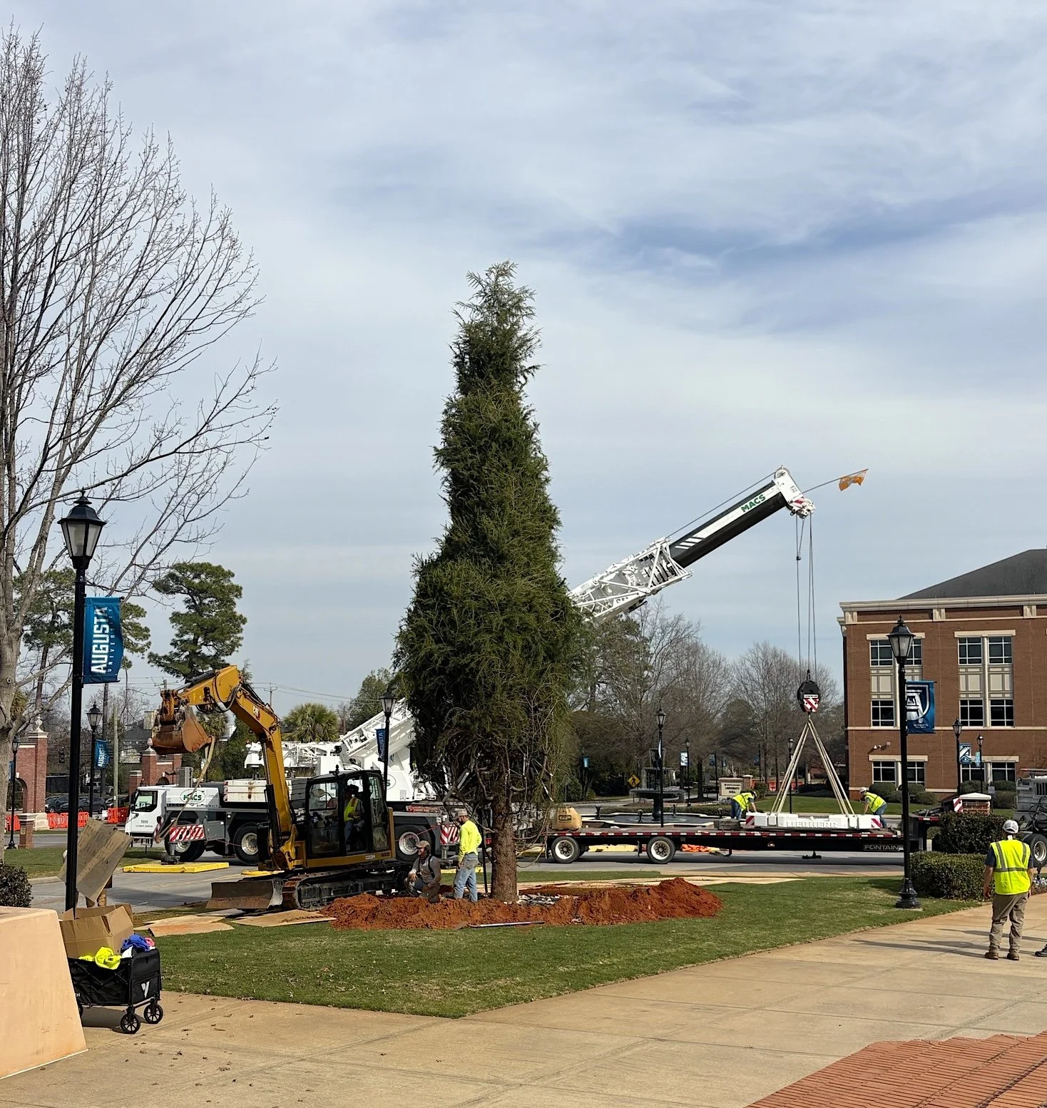 AU planting cedar trees at Summerville Campus entrance