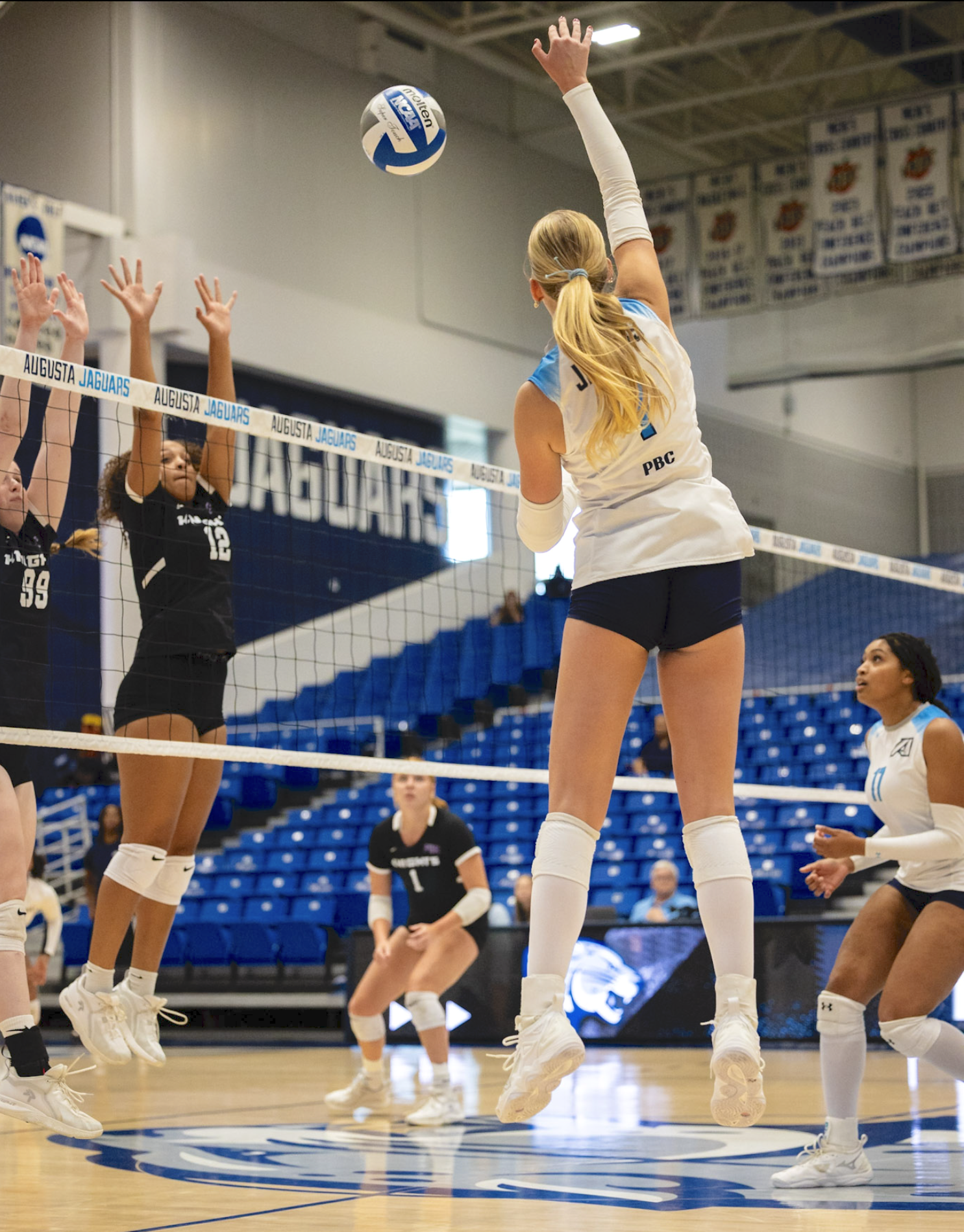 Haren, Snitsarevych power AU volleyball past Knights
