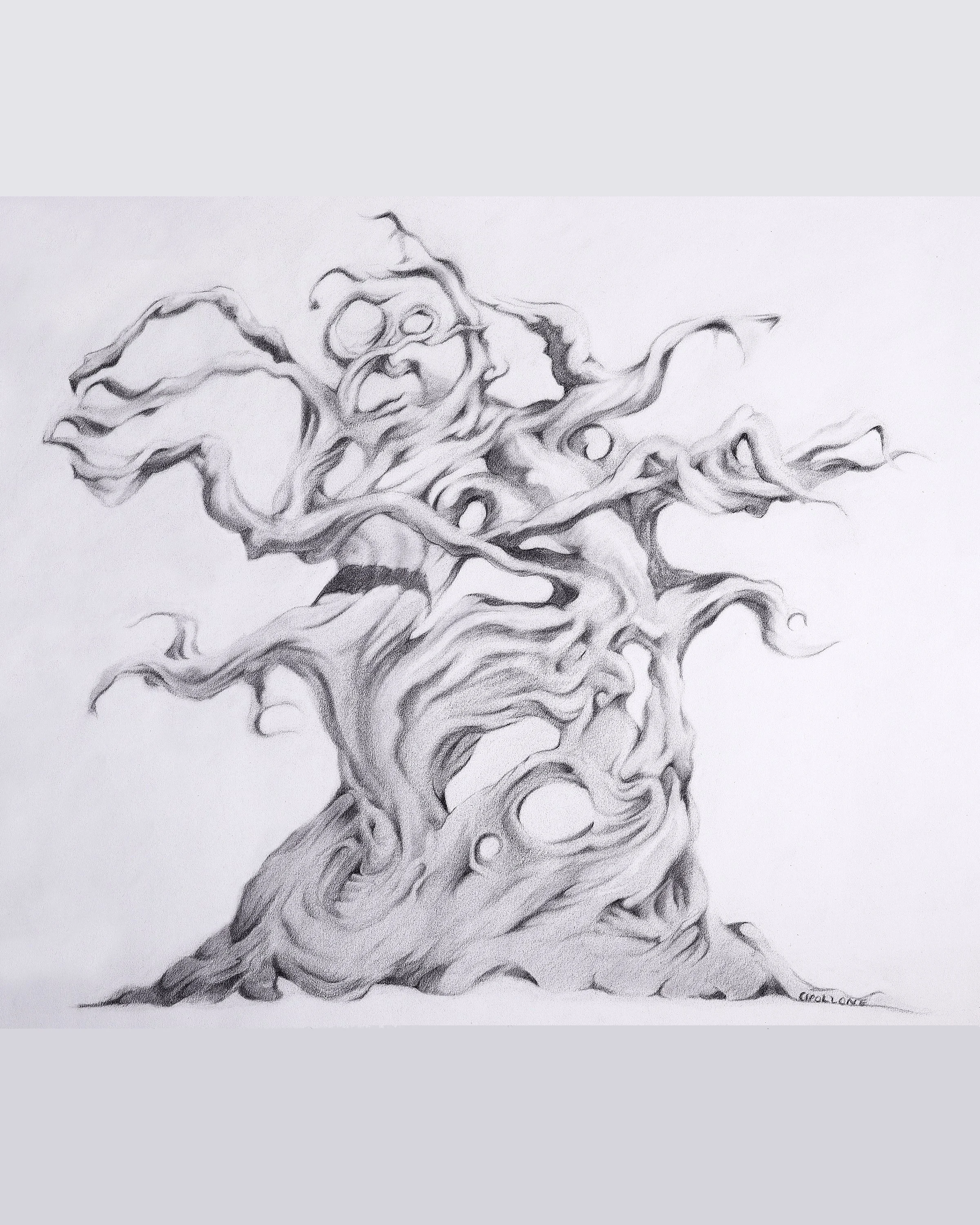 Twusting Tree Design Twisted Tree Drawing