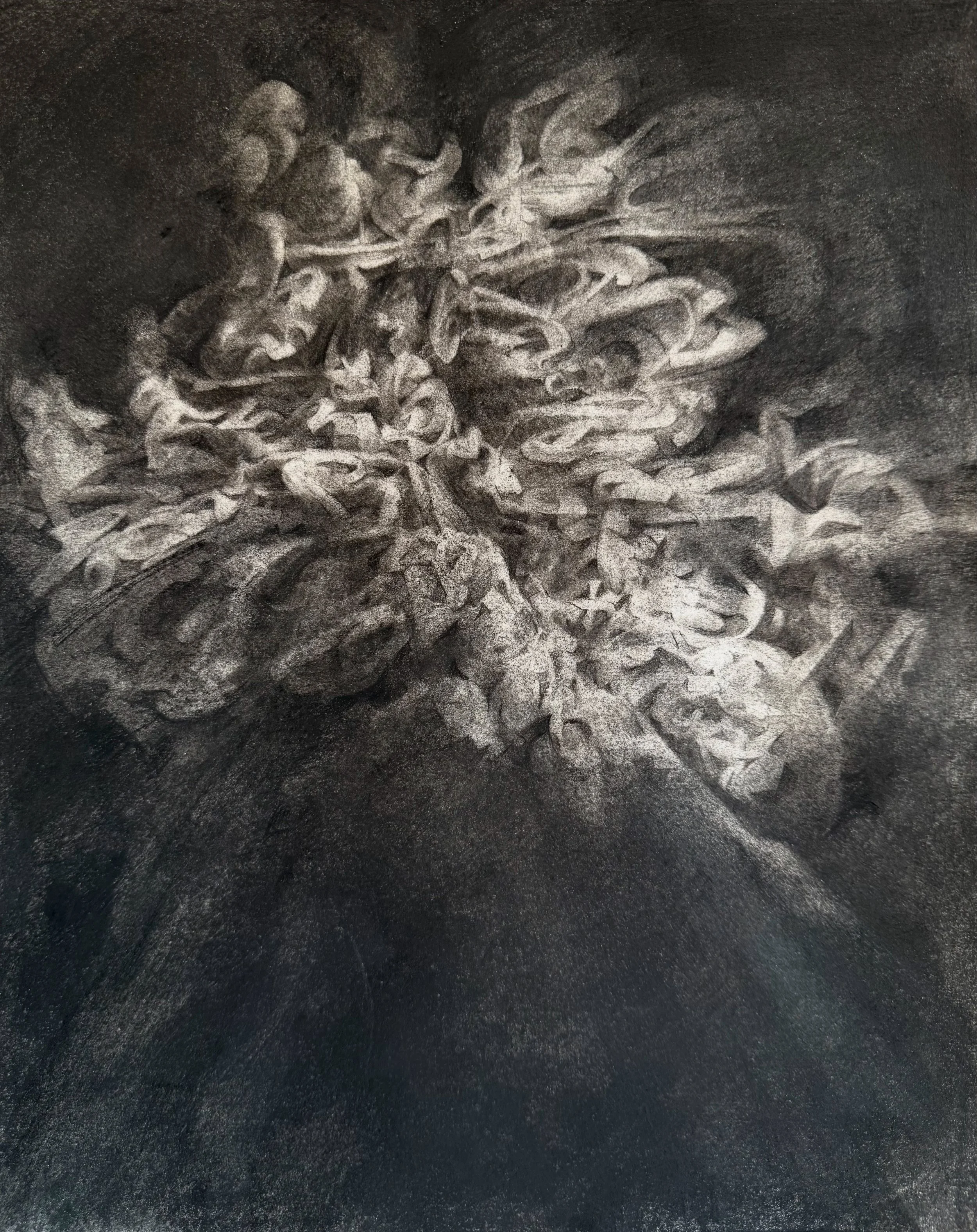 Untitled, Charcoal
