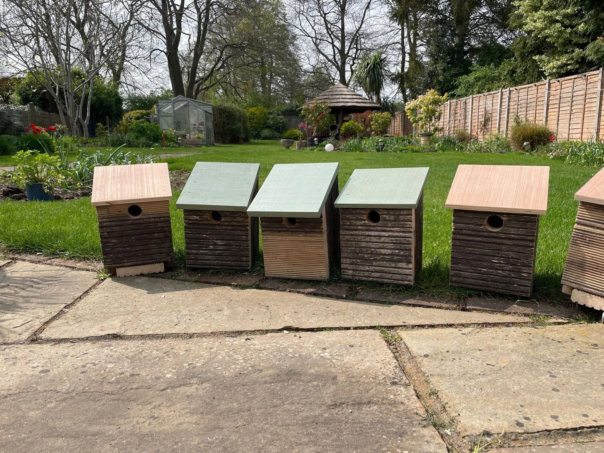 bird boxes.jpg