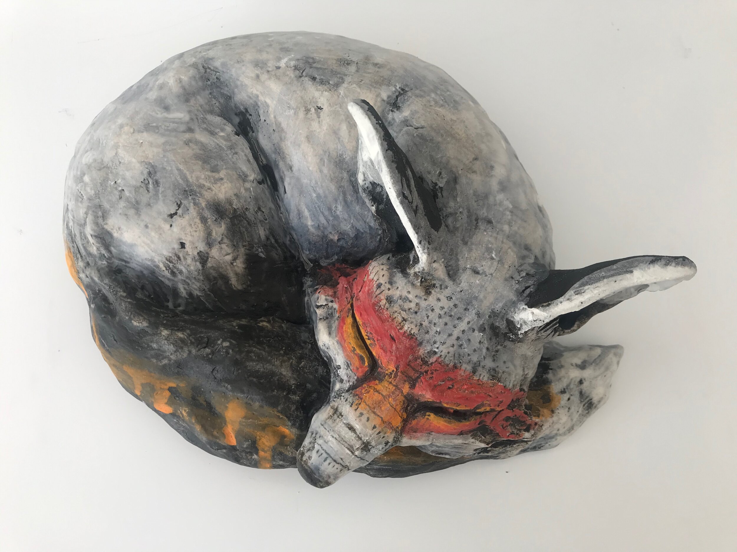 Waking Fox