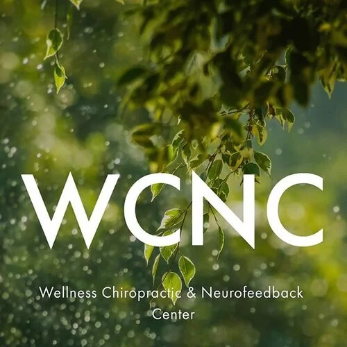 Wellness Chiropractic & Neurofeedback Center launch event