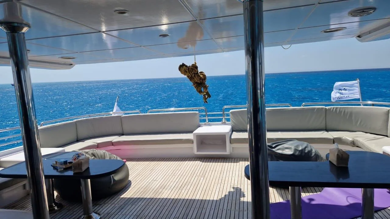 PHOTO-2025-08-20-08-04-03 3.jpeg