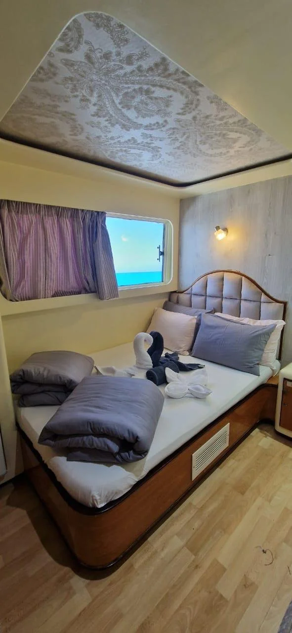 PHOTO-2025-08-20-08-04-01 4.jpeg