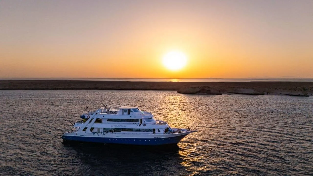 PHOTO-2025-08-20-08-04-01 2.jpeg