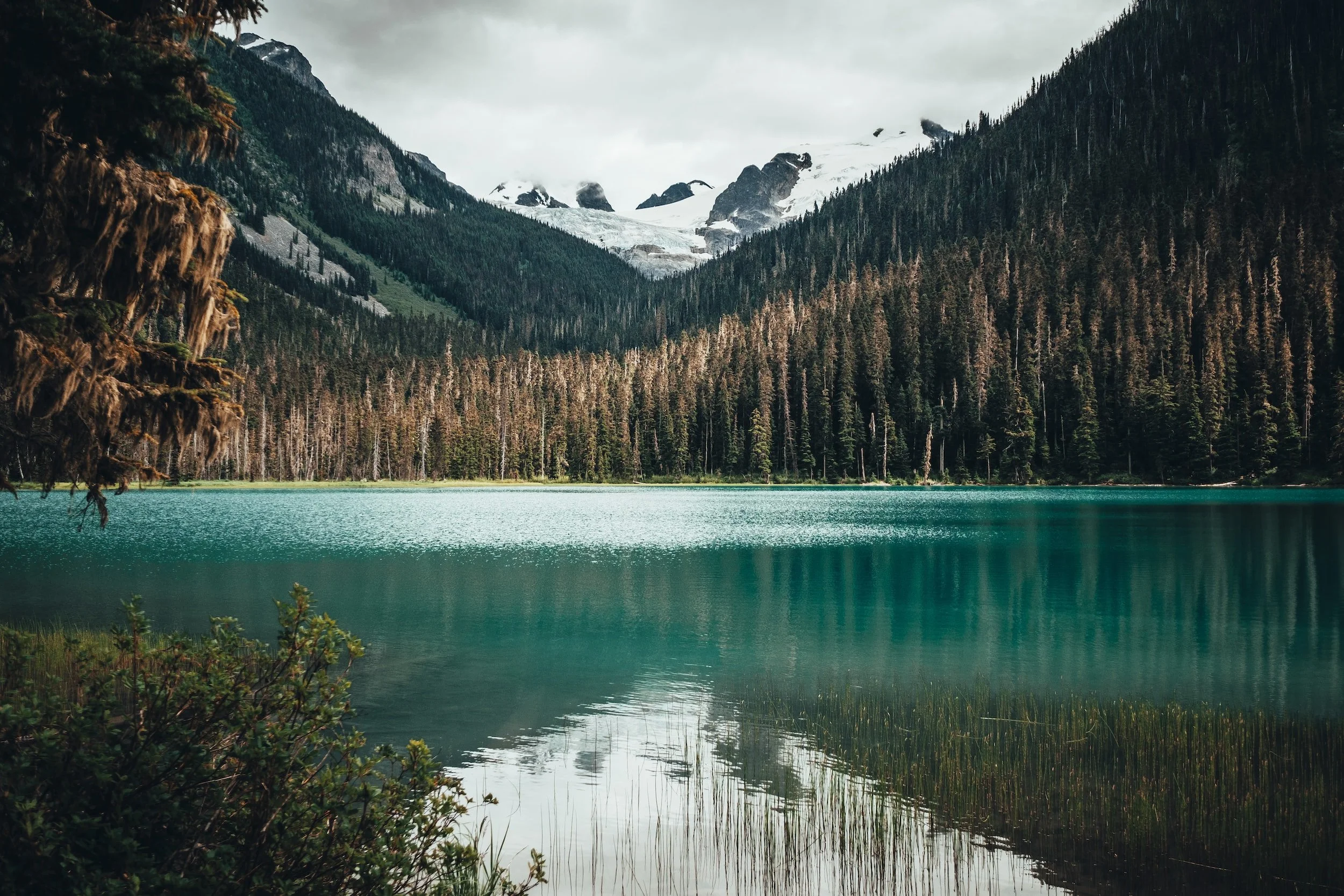 unsplash-image-2nqbAxxv4iU.jpg