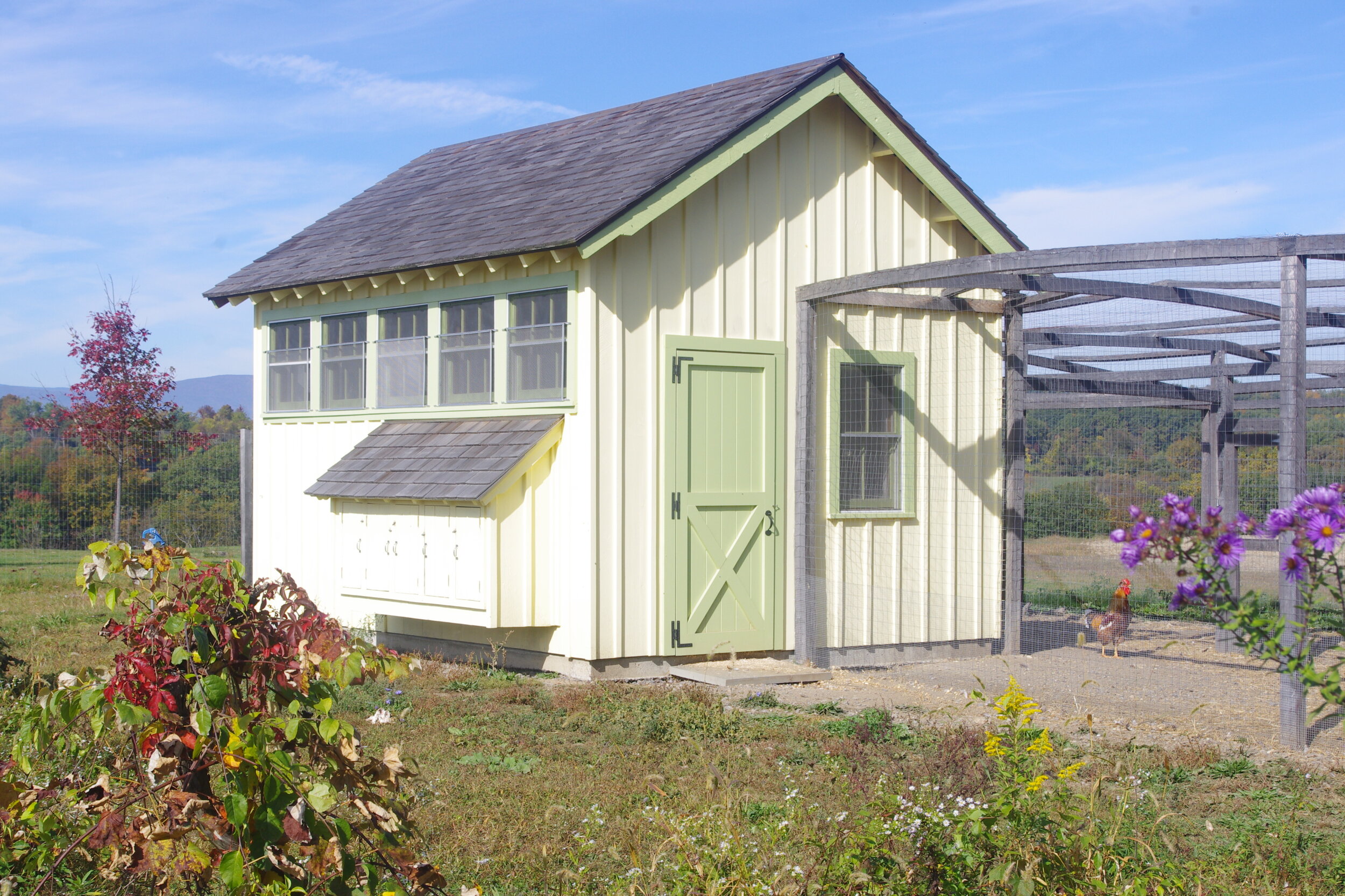 Sunny Chicken Coop