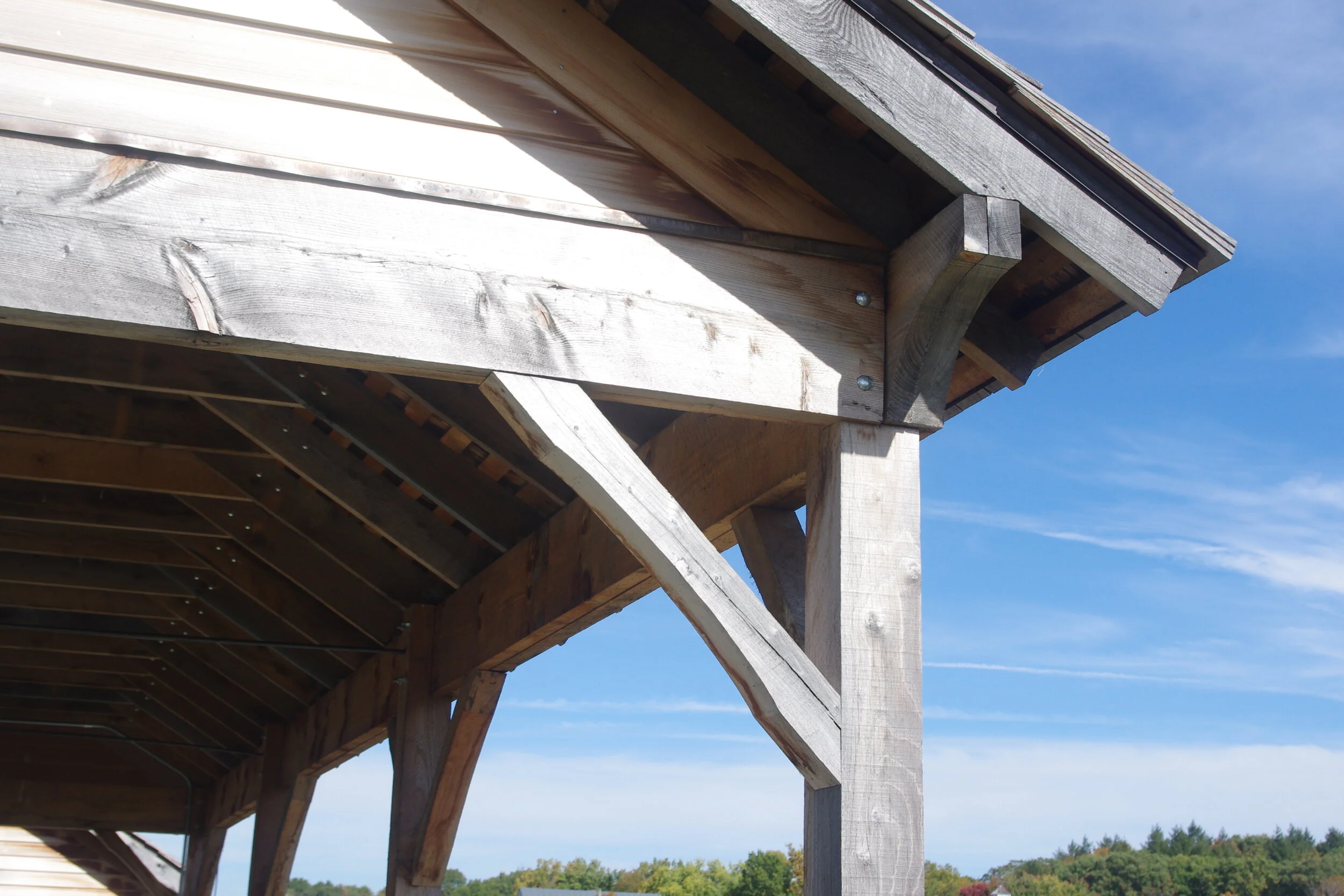 Pavillion roof detailing