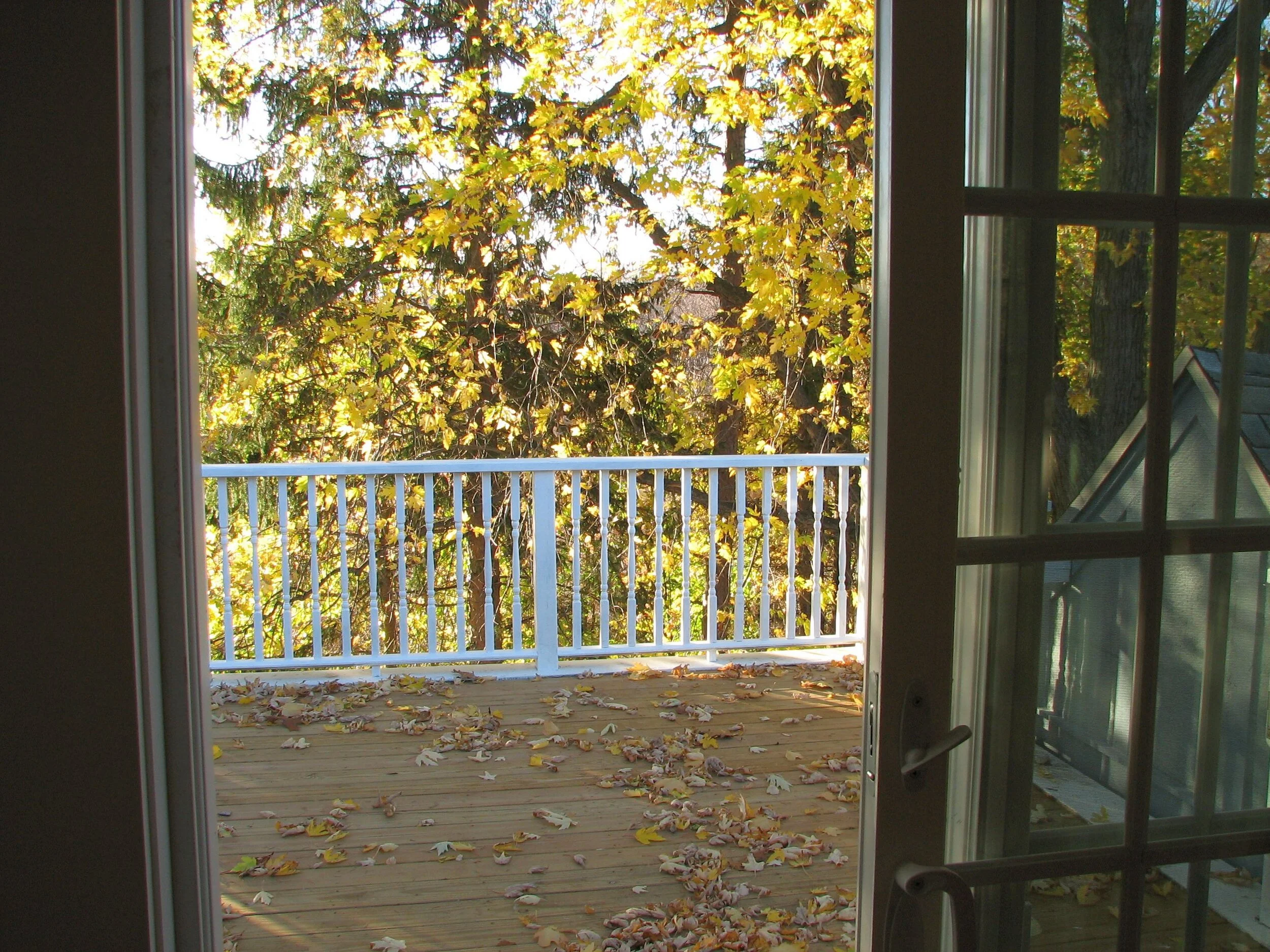 Master Bedroom roof deck