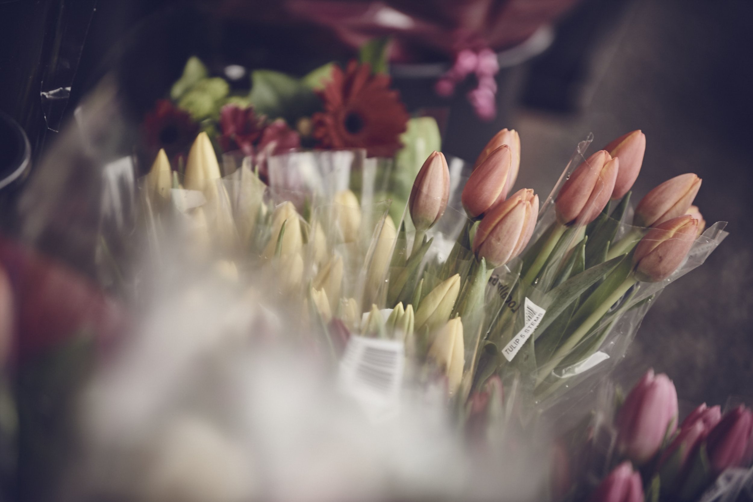 20150120_Bennington House+West 54802.jpg