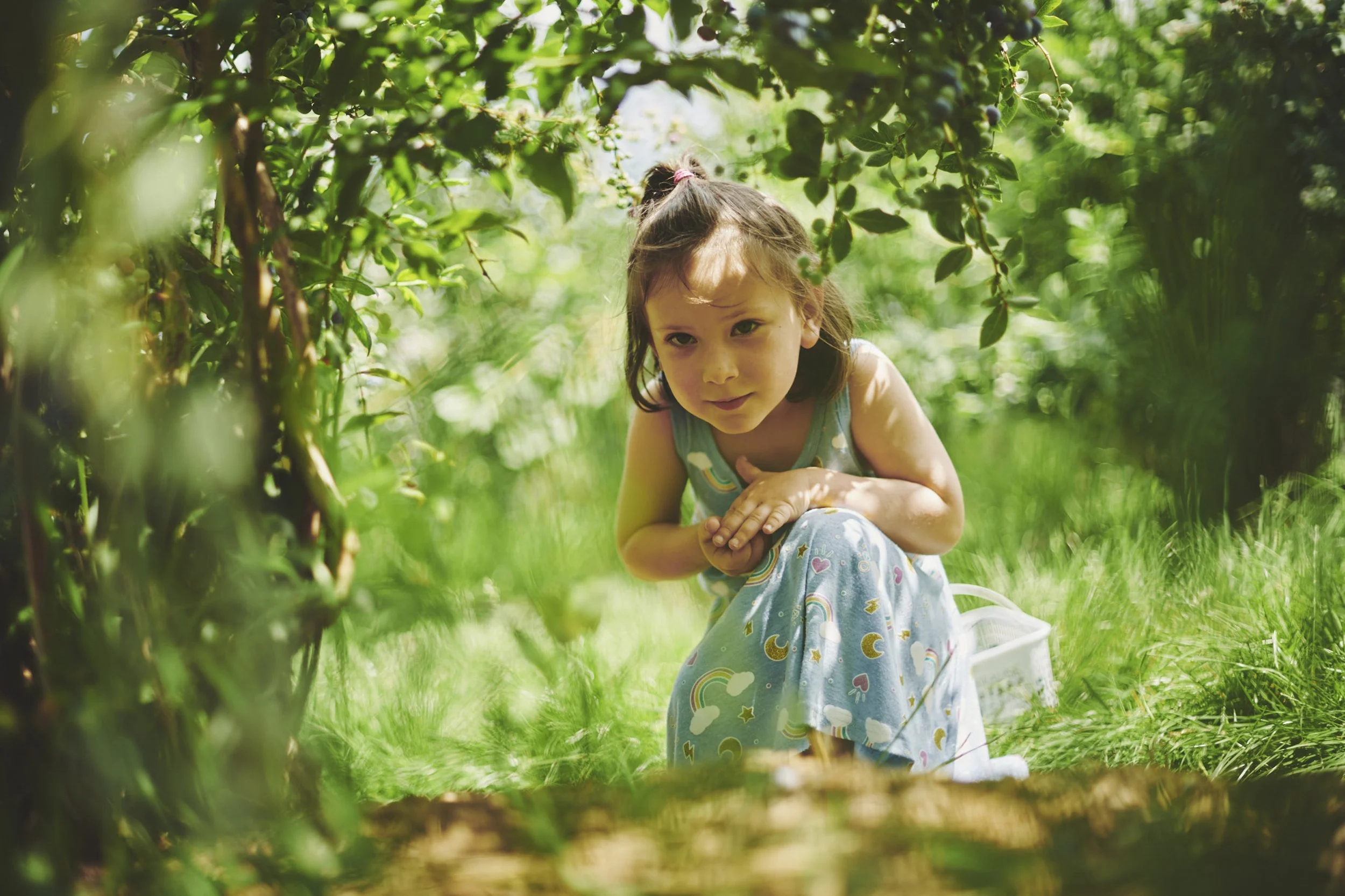 201900714_Wilder CrossingDSC_9618.jpg