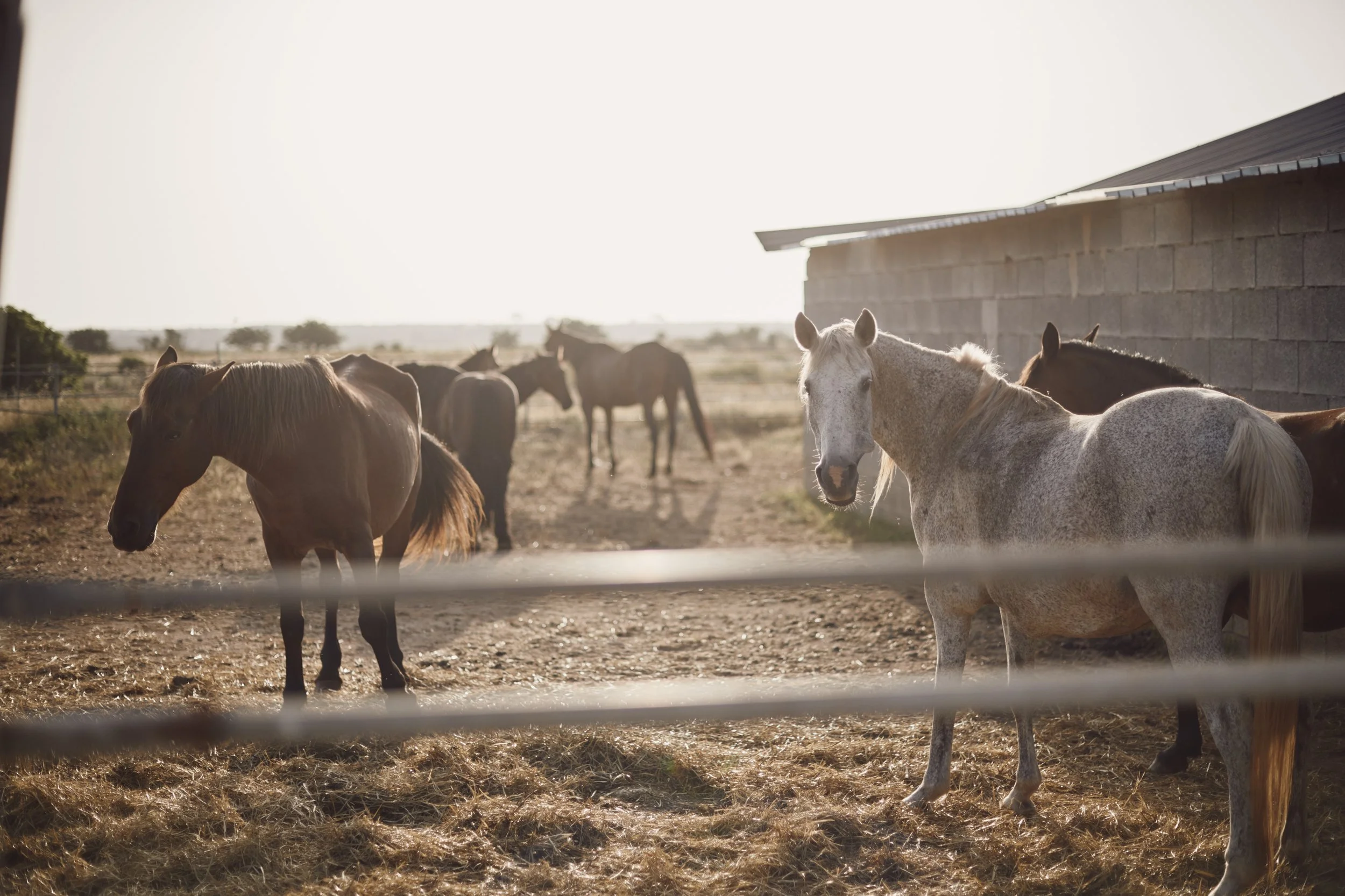 20190710_Europe_DSC_7819 1.jpg