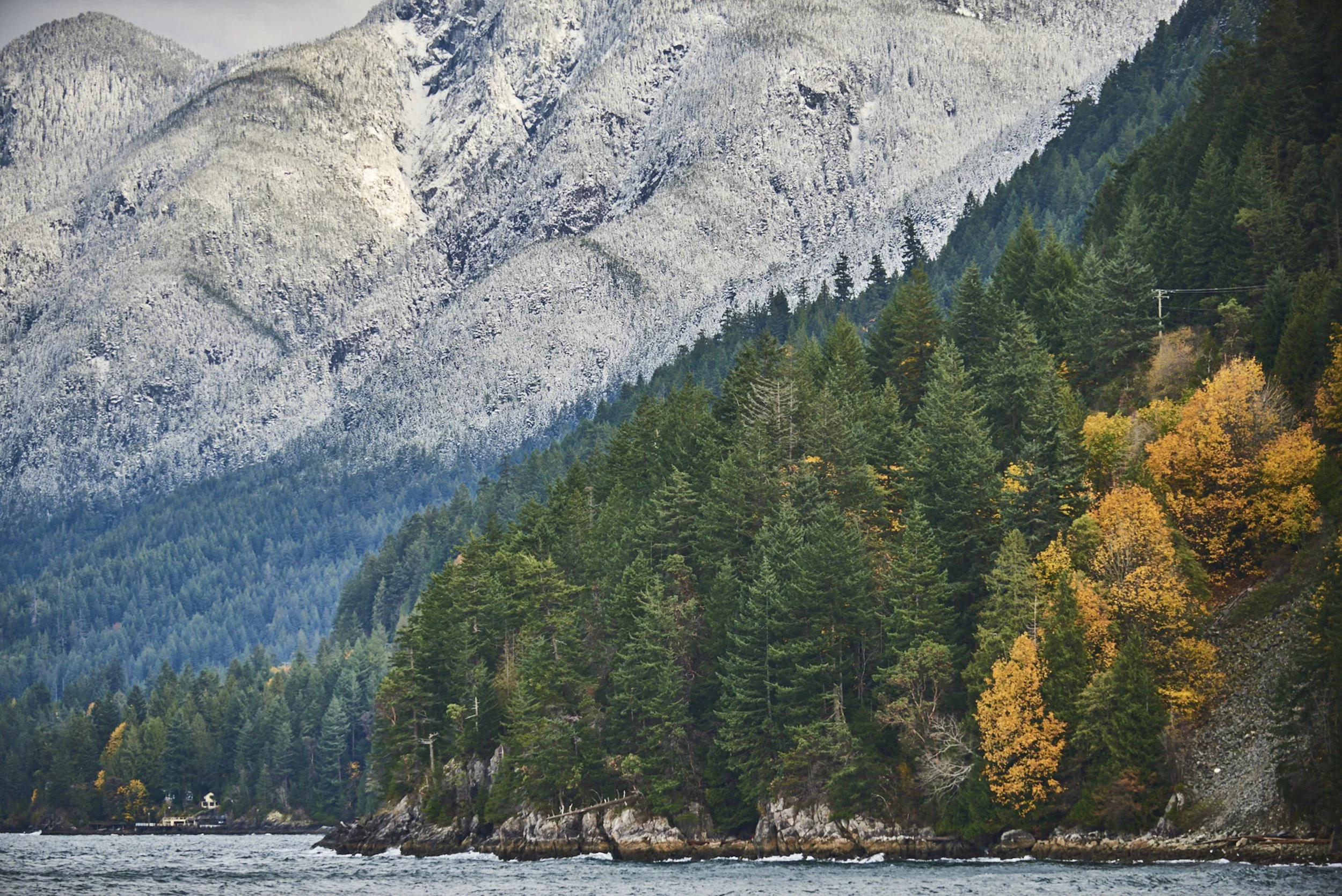 20171103_West VanD81_7798.jpg