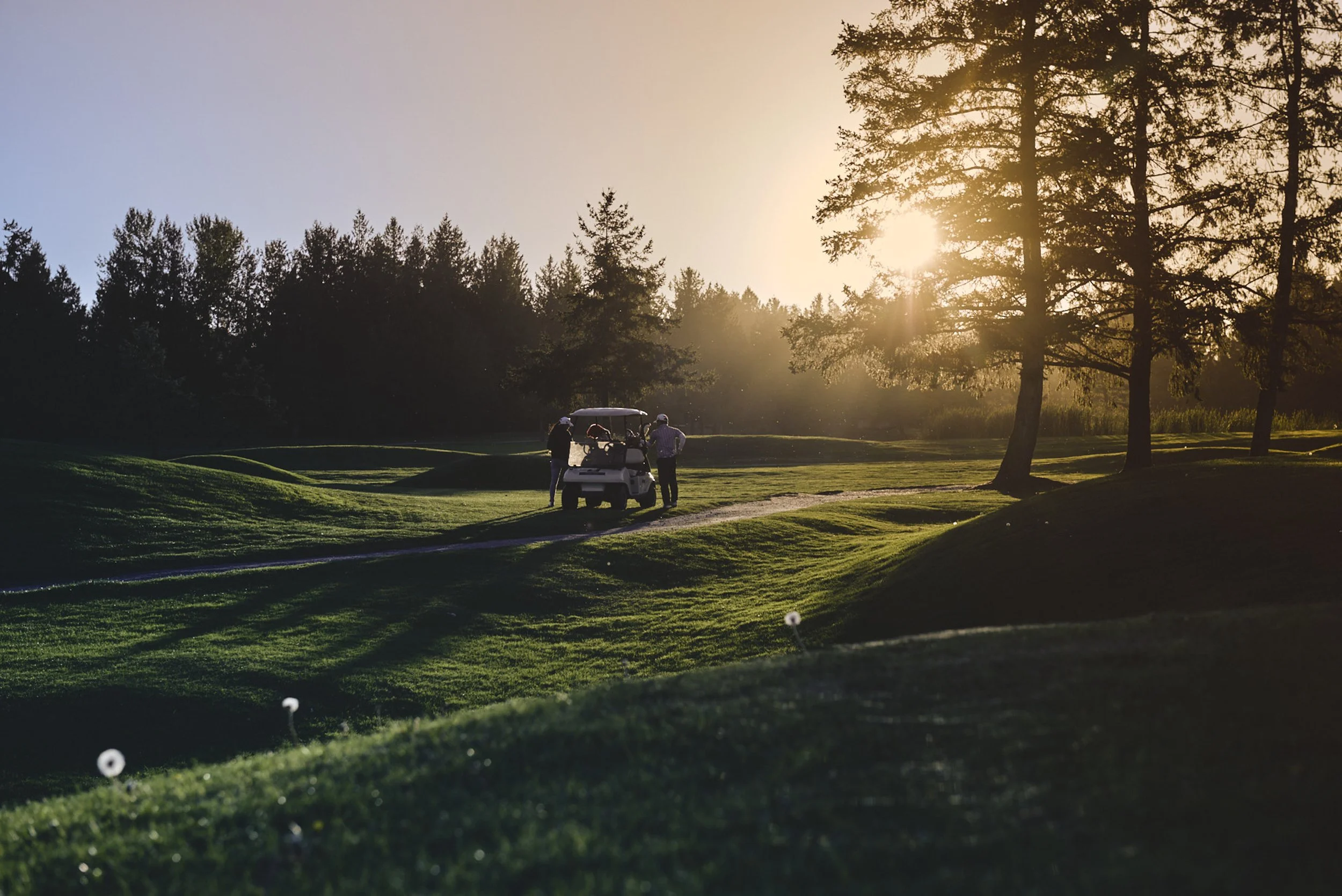 201710124_LinksD81_4483 copy.jpg