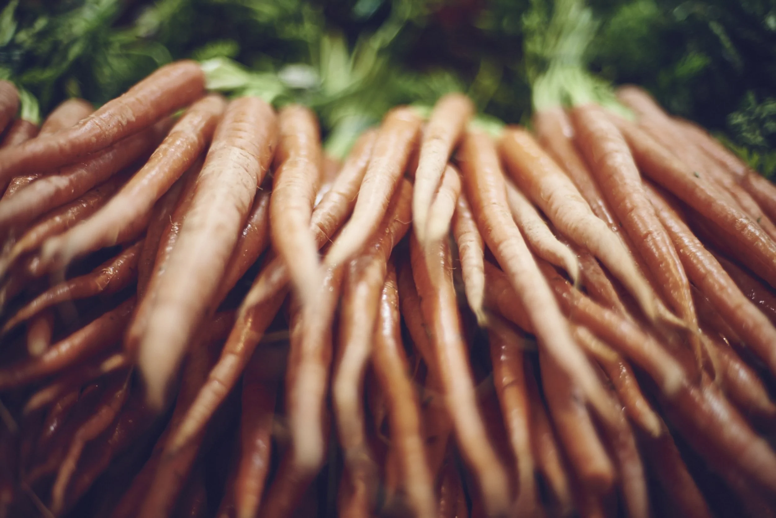 20150120_Bennington House+West 54823.jpg